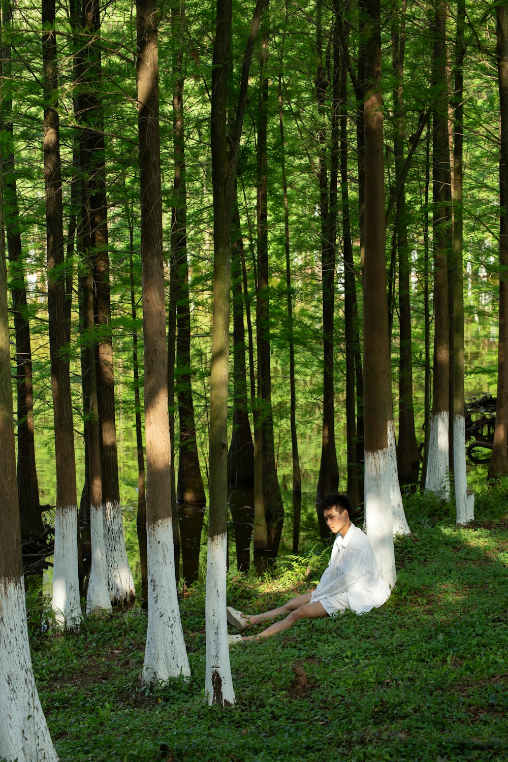 a man sitting in the middle of a forest