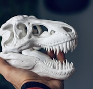 a person holding a fake dinosaur skull in their hand