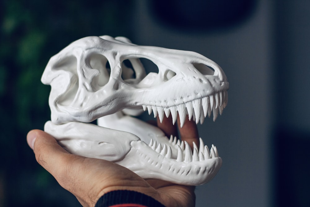 a person holding a fake dinosaur skull in their hand