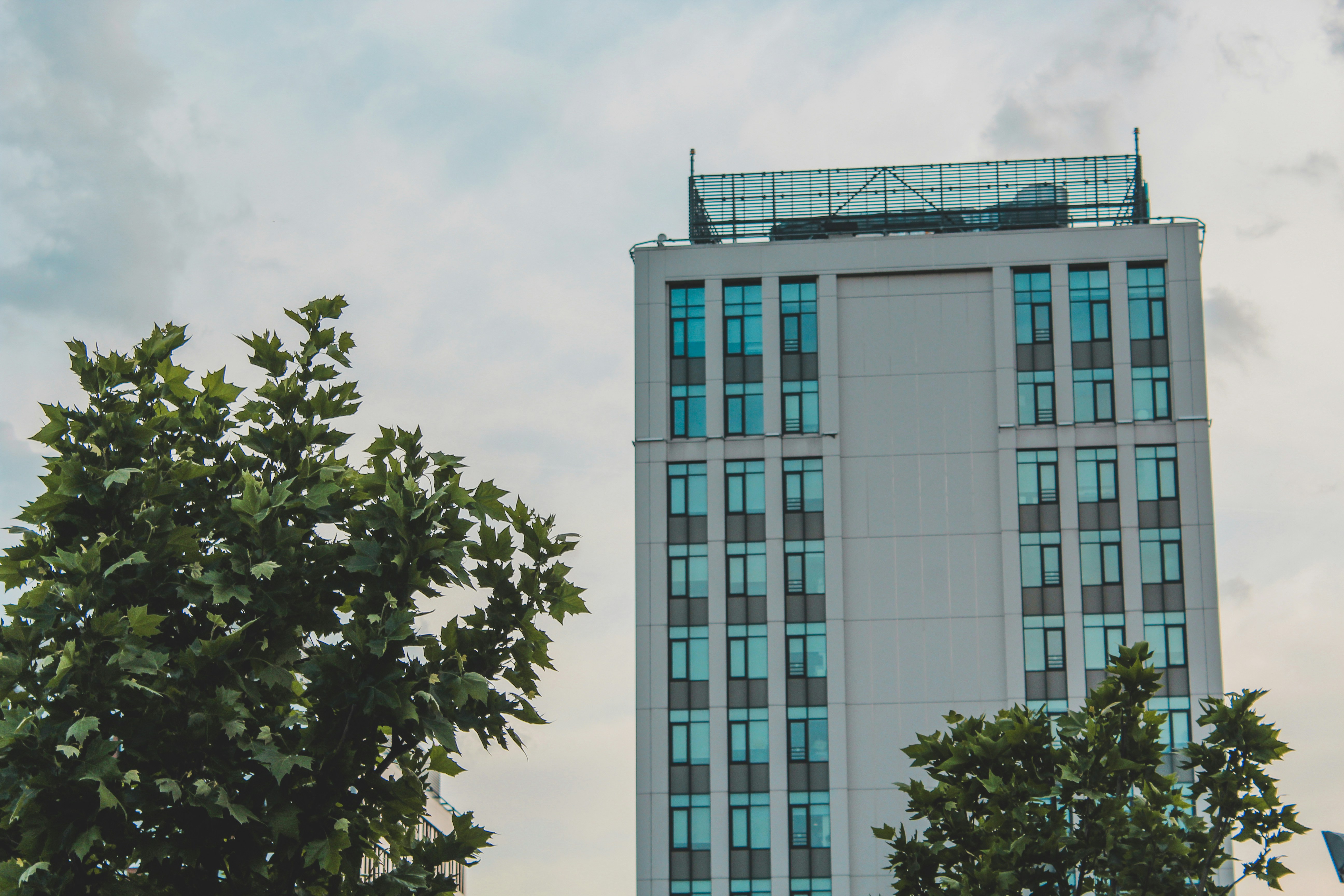 Photo by czapp_arpad