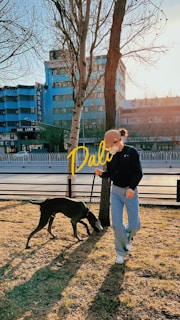 A person walking a large dog on a leash in a park. The person is wearing casual clothing and appears to be looking at the dog that is sniffing the ground. The background includes a row of buildings, one of which is painted blue, and leafless trees. The scene is bathed in soft sunlight, indicating a late afternoon or early morning setting.