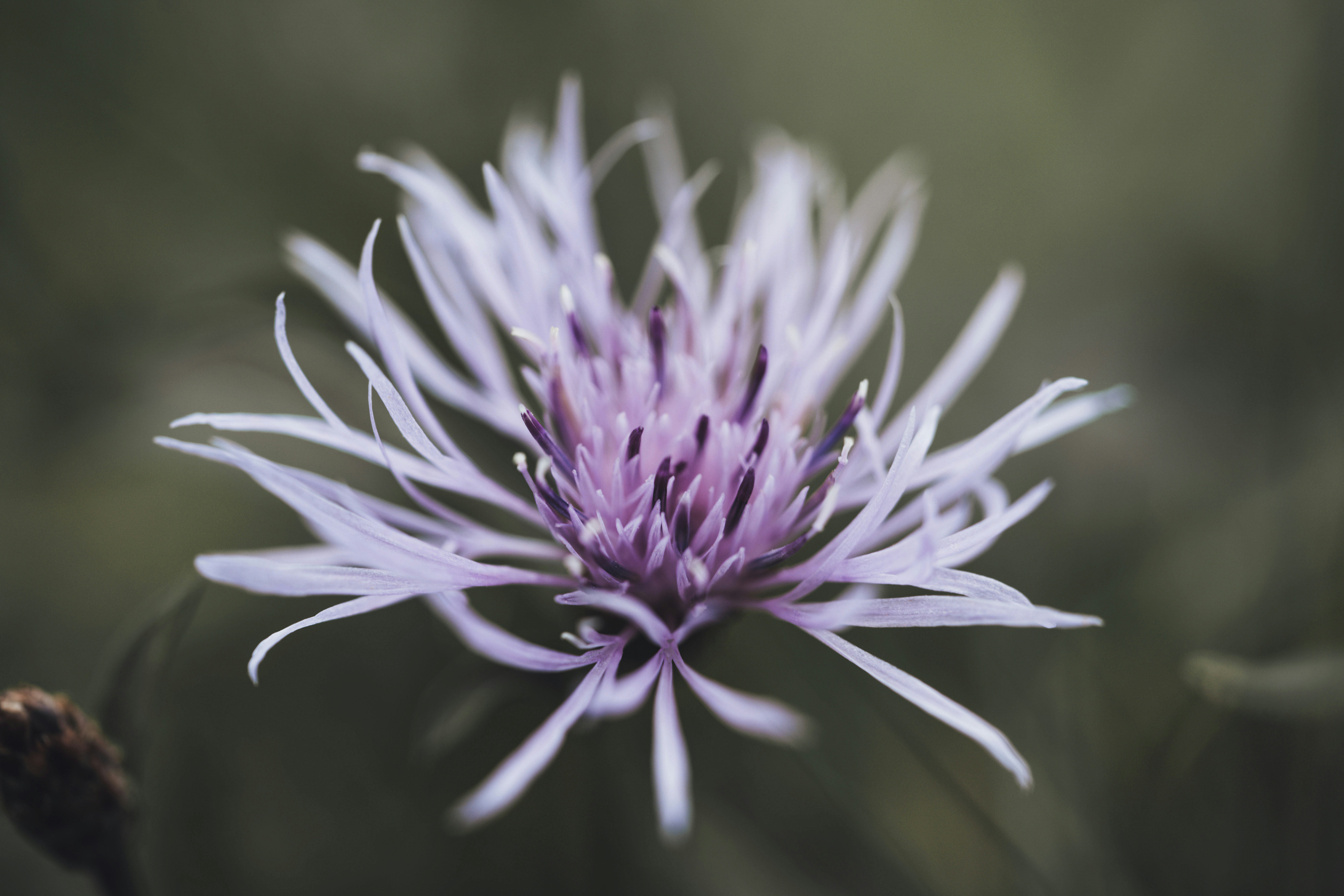 Photo by photosbyfrk