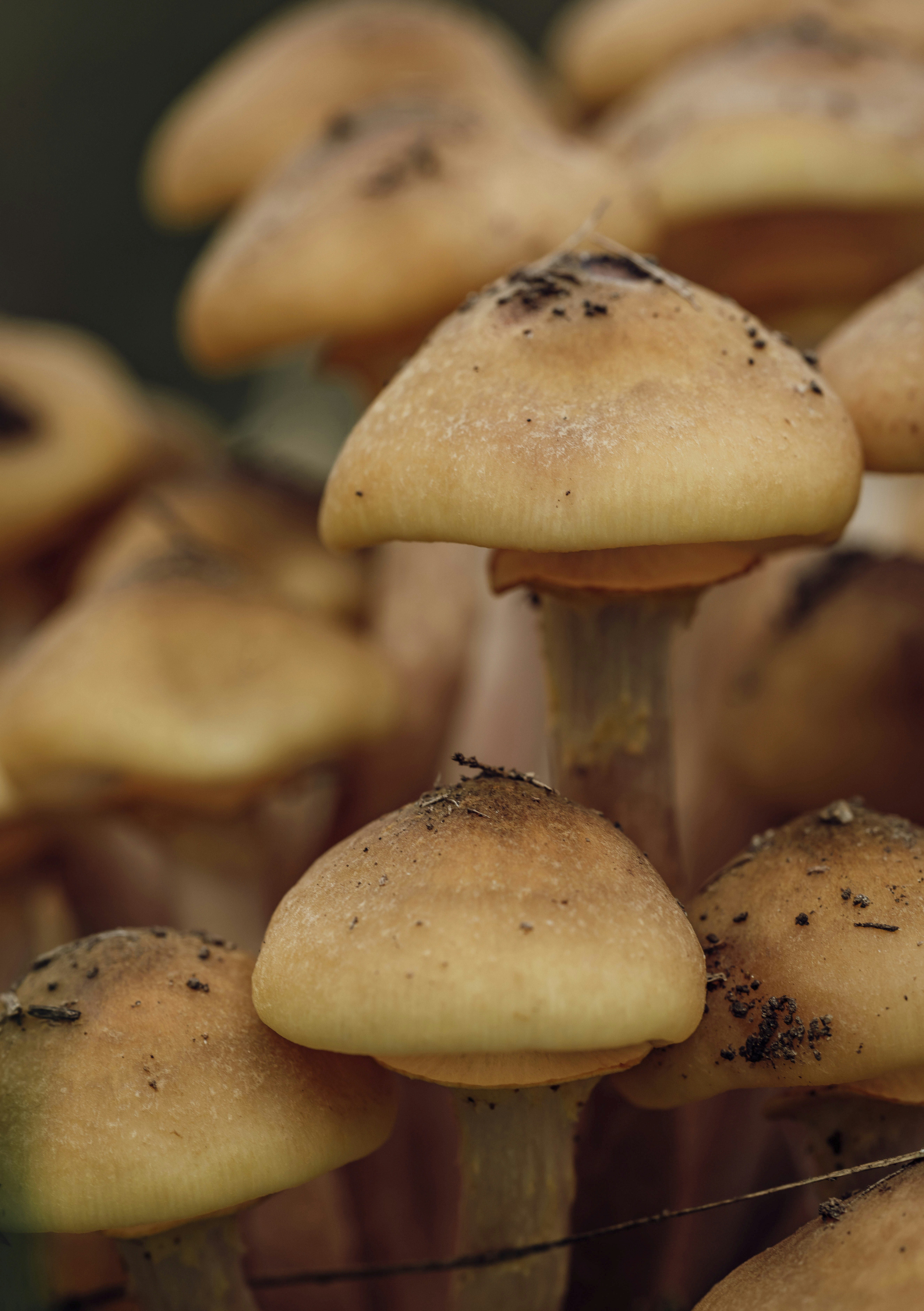 Photo by photosbyfrk