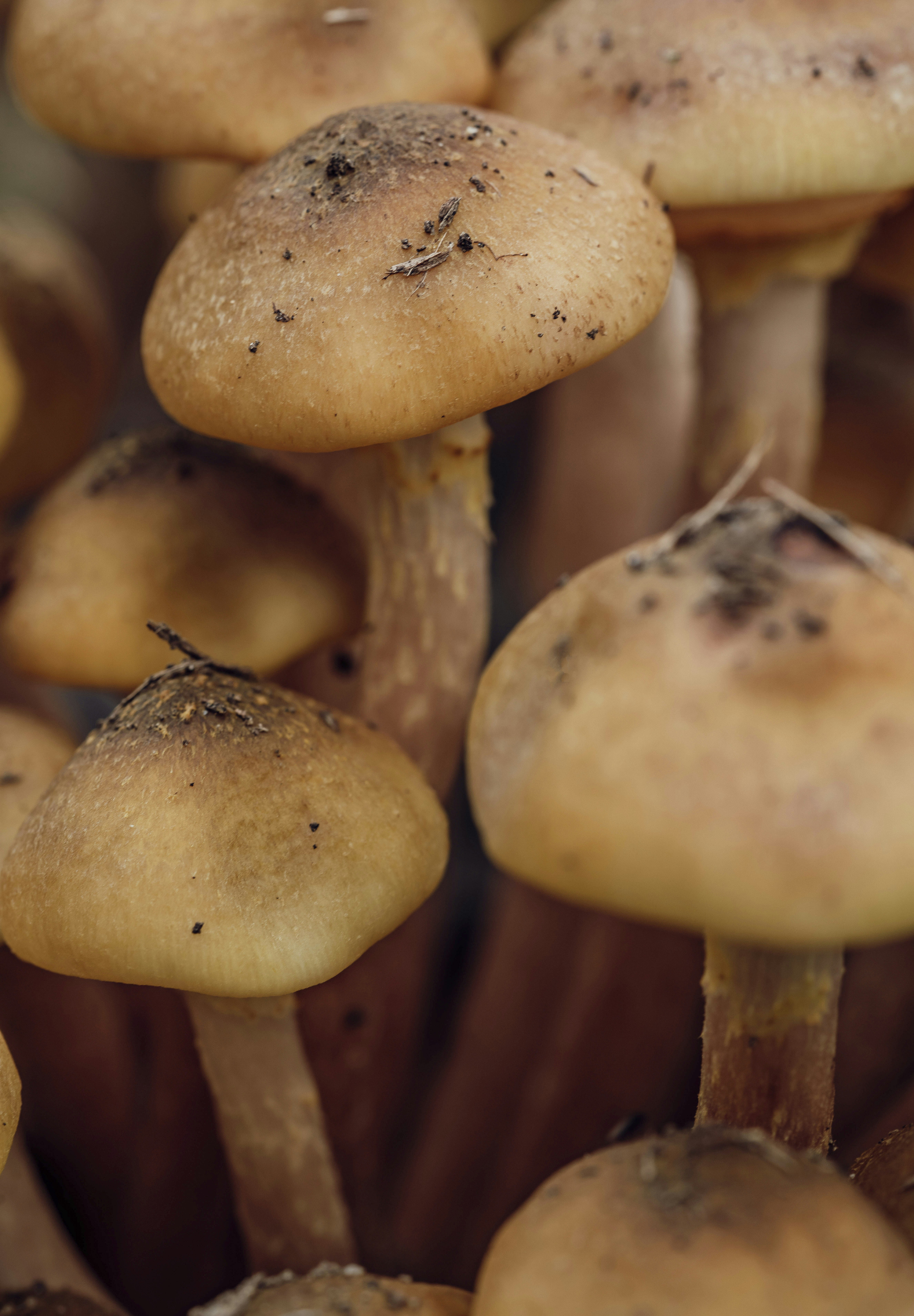 Photo by photosbyfrk