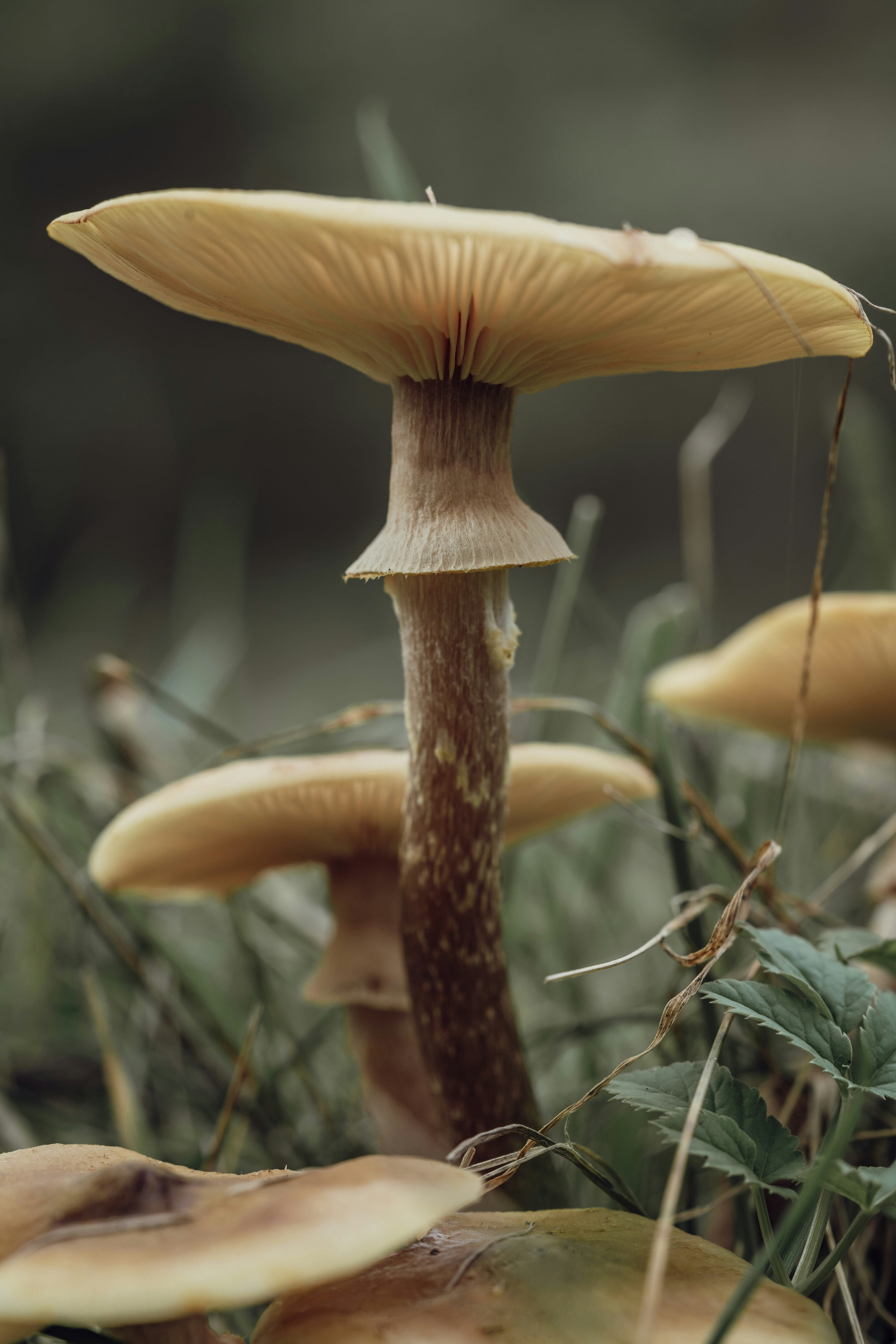 Photo by photosbyfrk