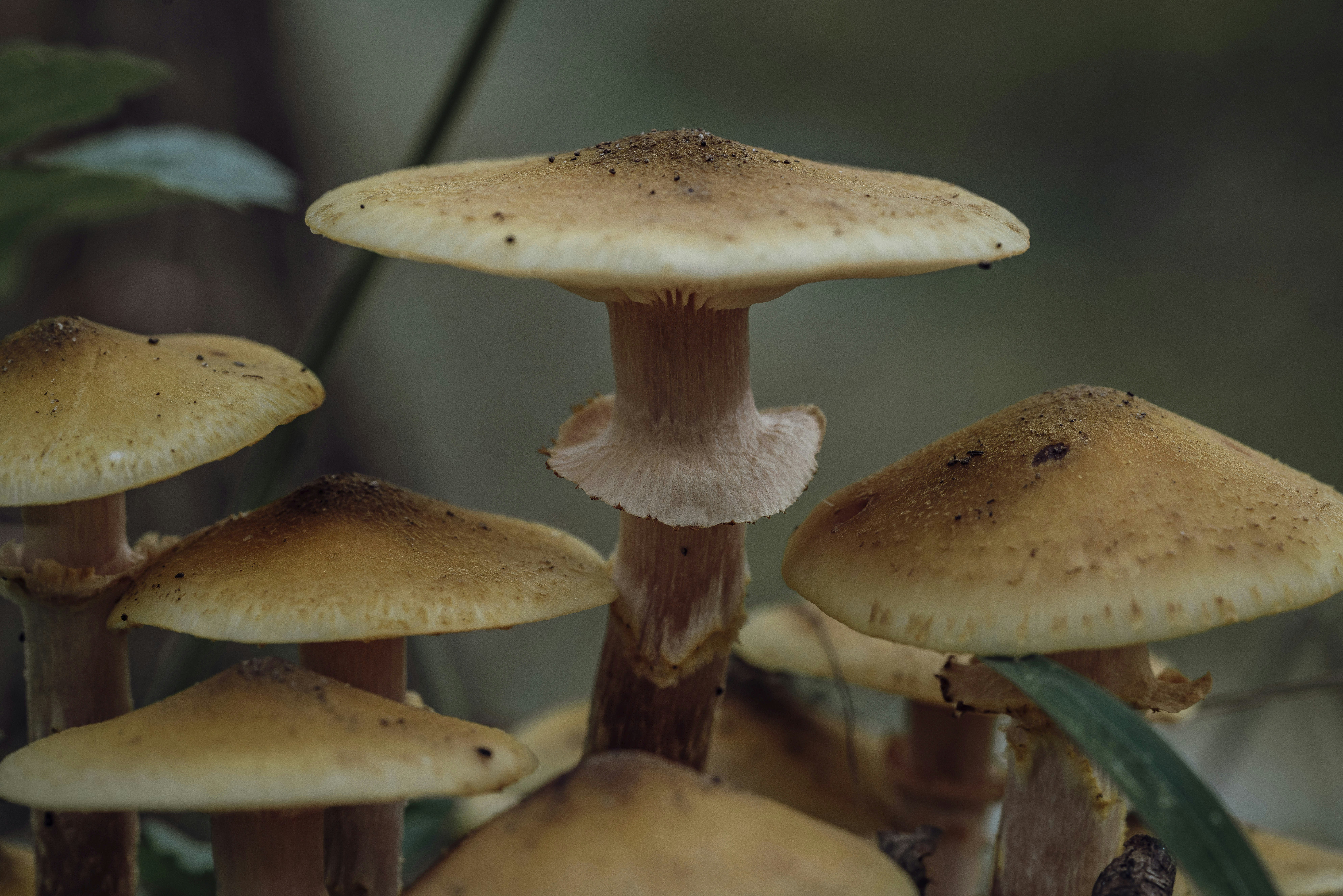 Photo by photosbyfrk