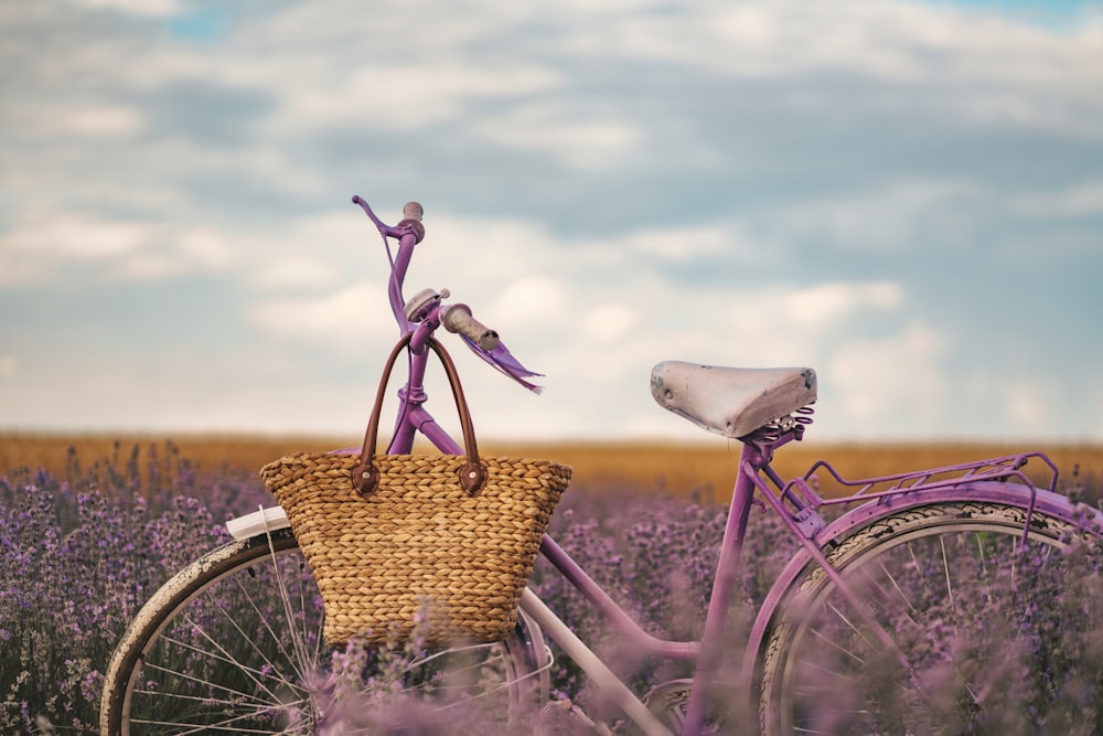 a purple bicycle with a basket in a field