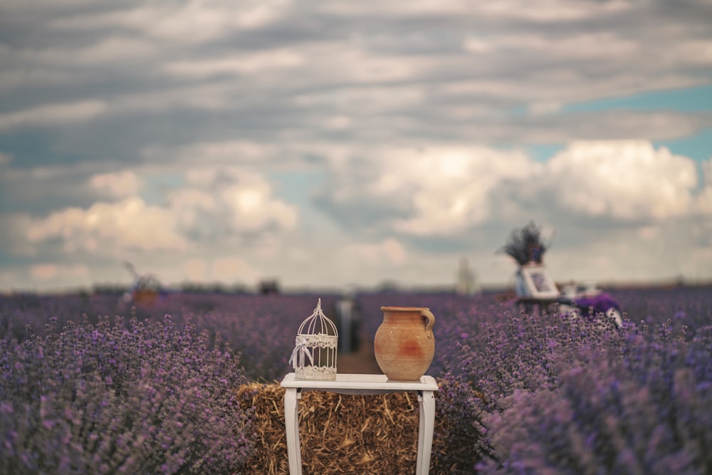 Un jarrón sentado encima de una mesa en un campo