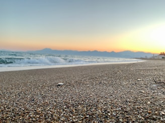 A tranquil Hawaiian beach at sunset with soft pastel skies and gentle waves lapping the shore.