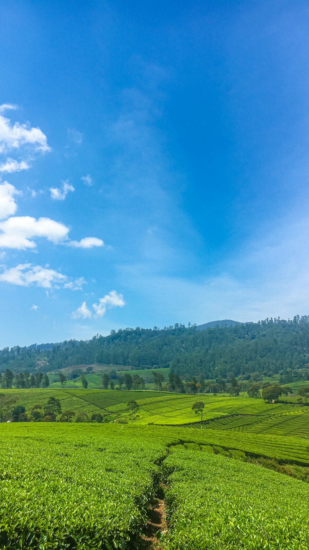 Natural landscape photo spot Pangalengan Taman Nasional Gunung Ciremai