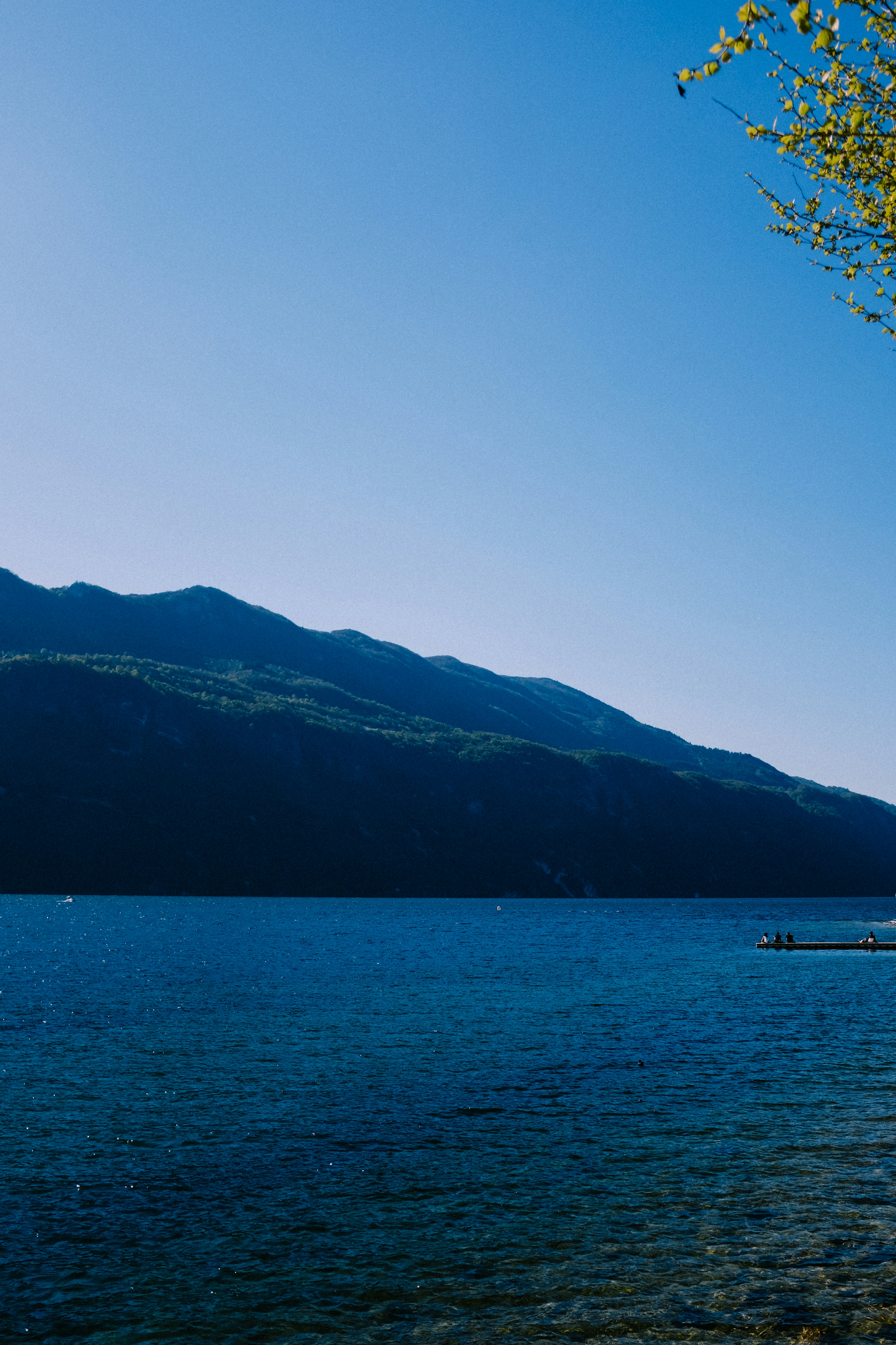 Photo by adrienolichon