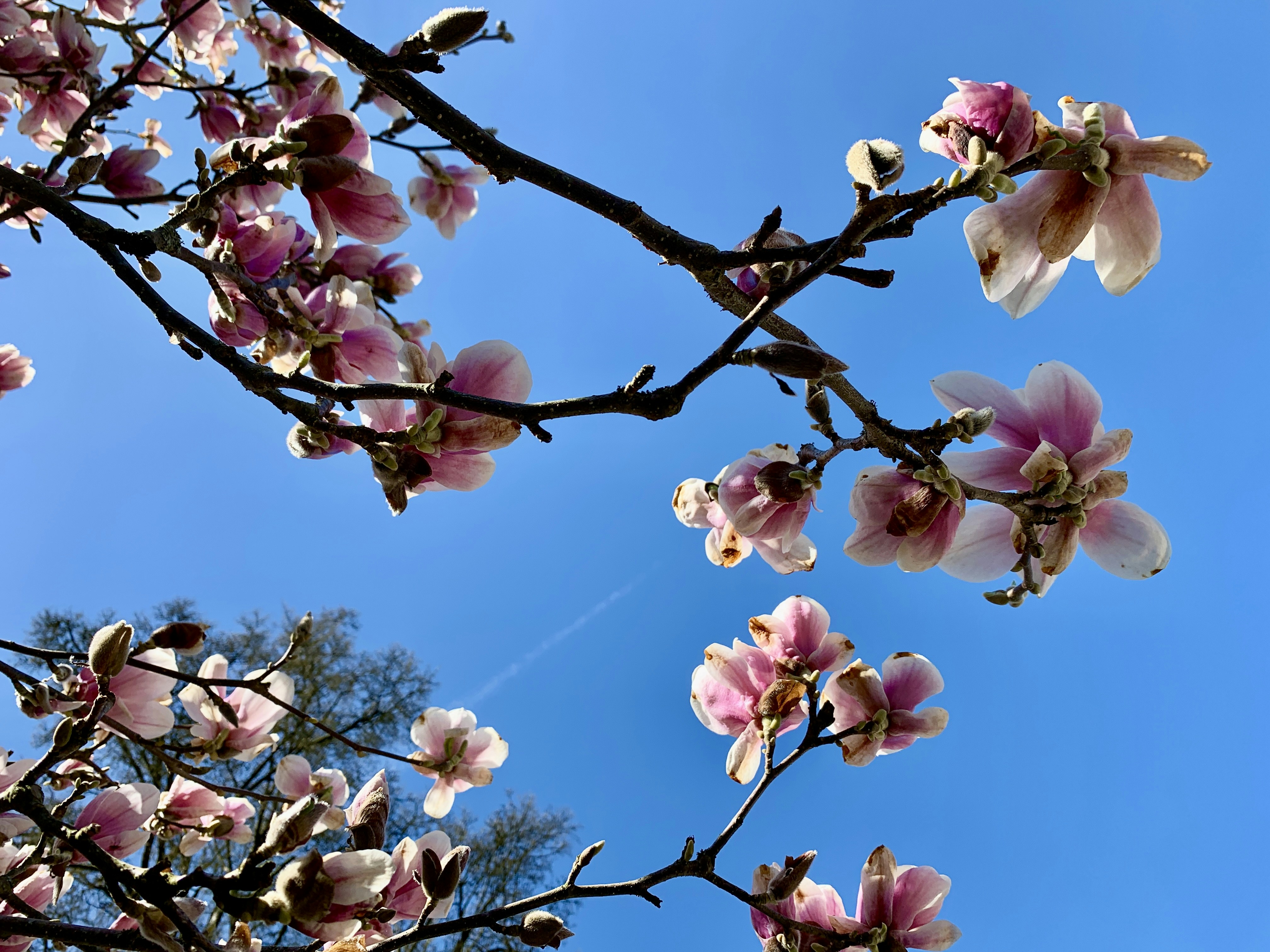 Photo by annie_kramer74