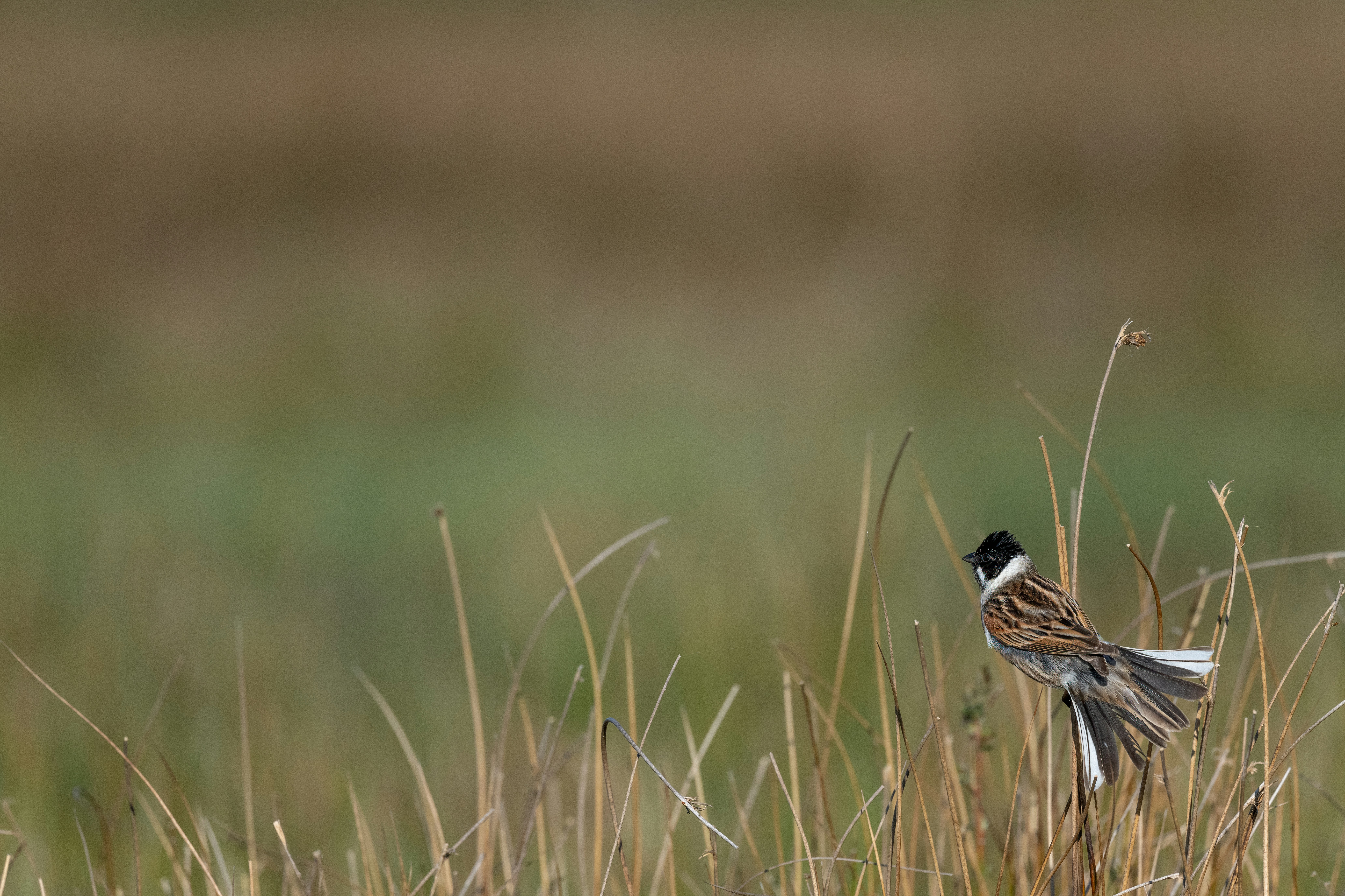 Photo by vincentvanzalinge