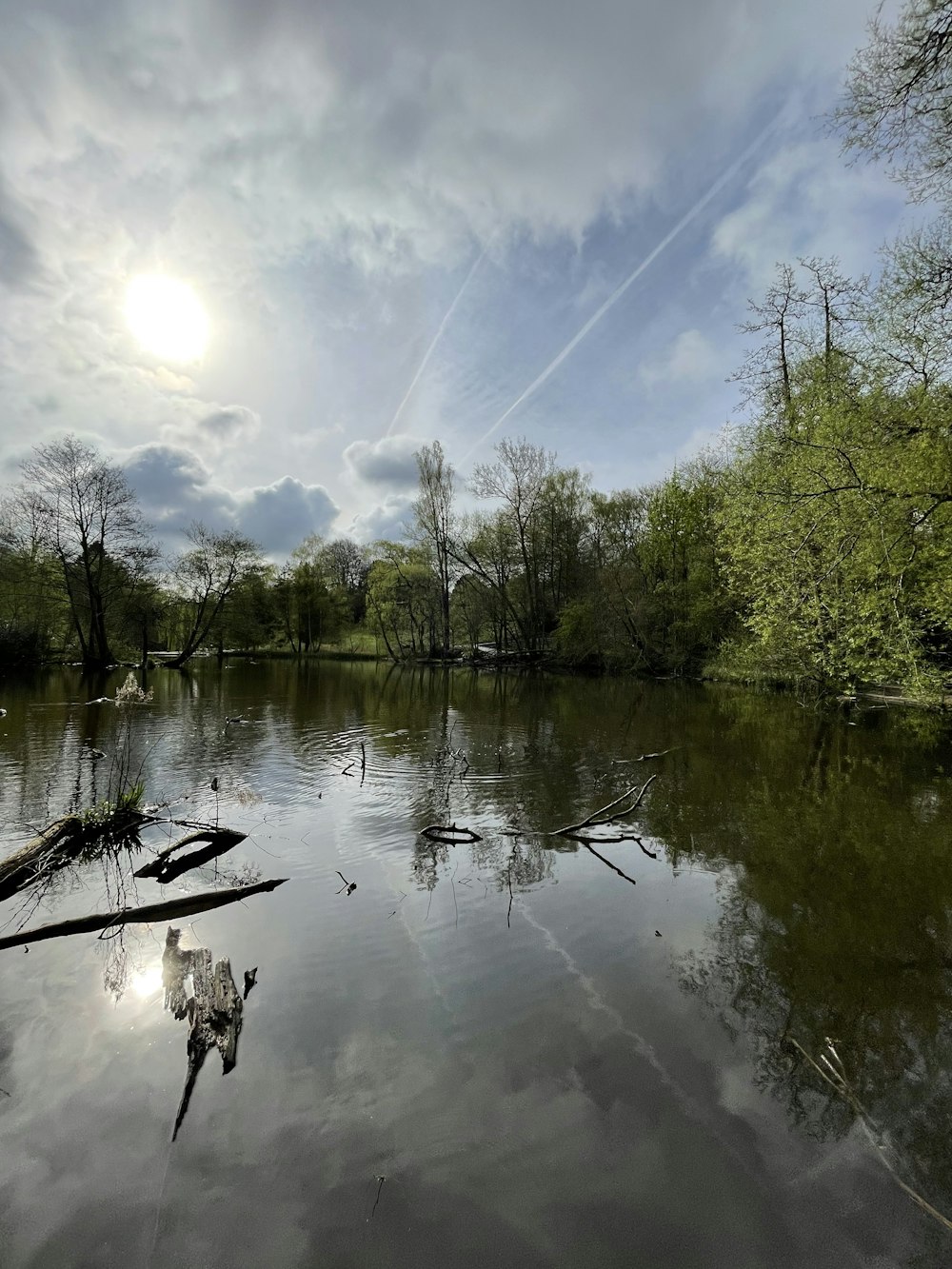 a body of water surrounded by trees under a cloudy sky