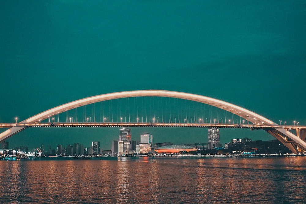 a bridge over a body of water with a city in the background