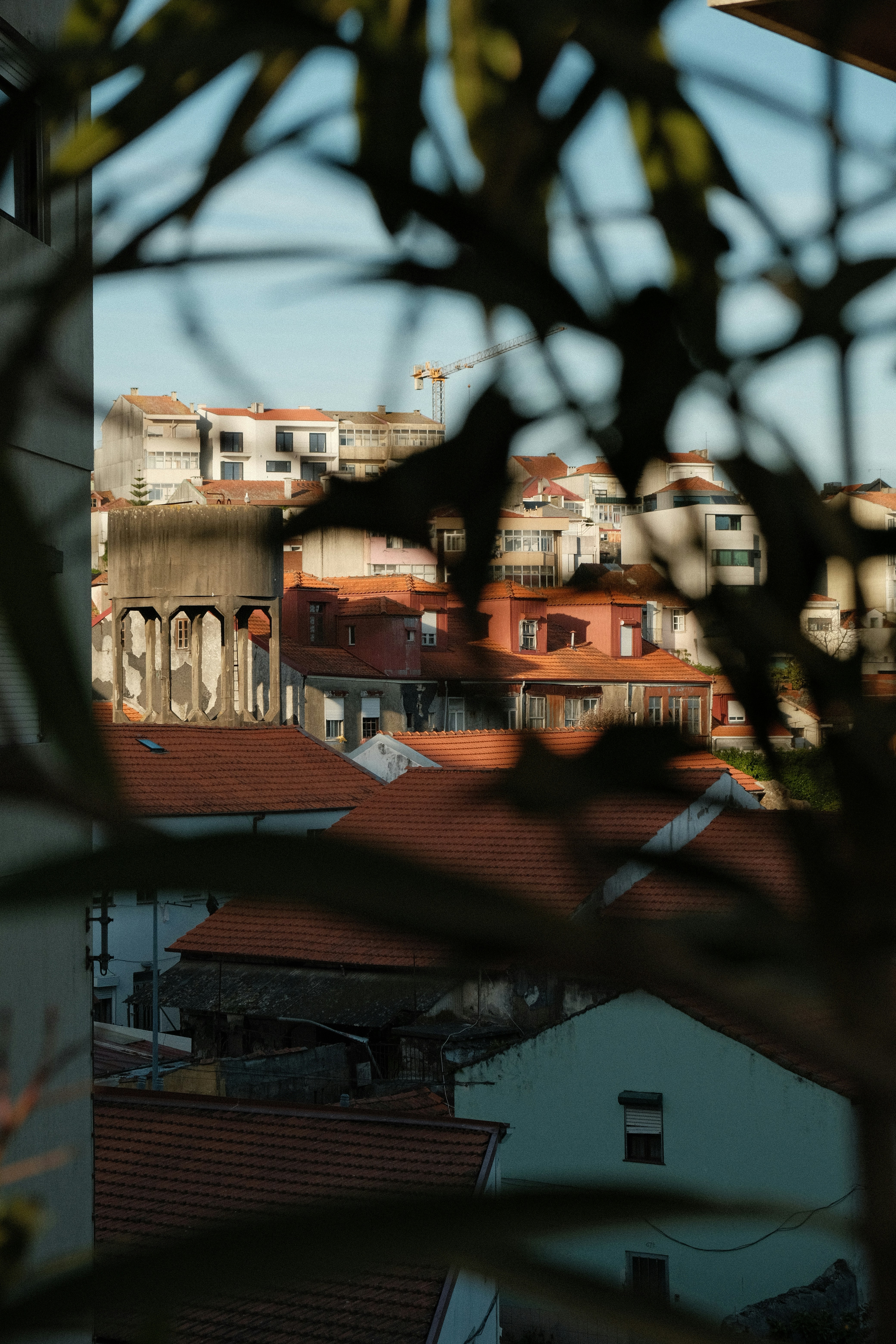 Photo by maxkuk