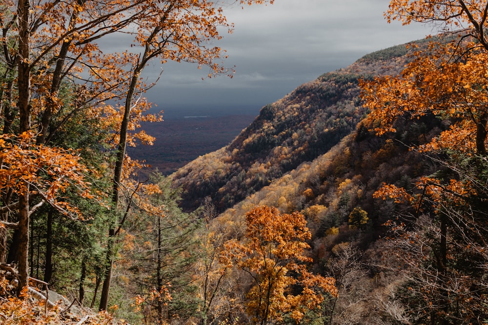 a scenic view of a mountain in the fall