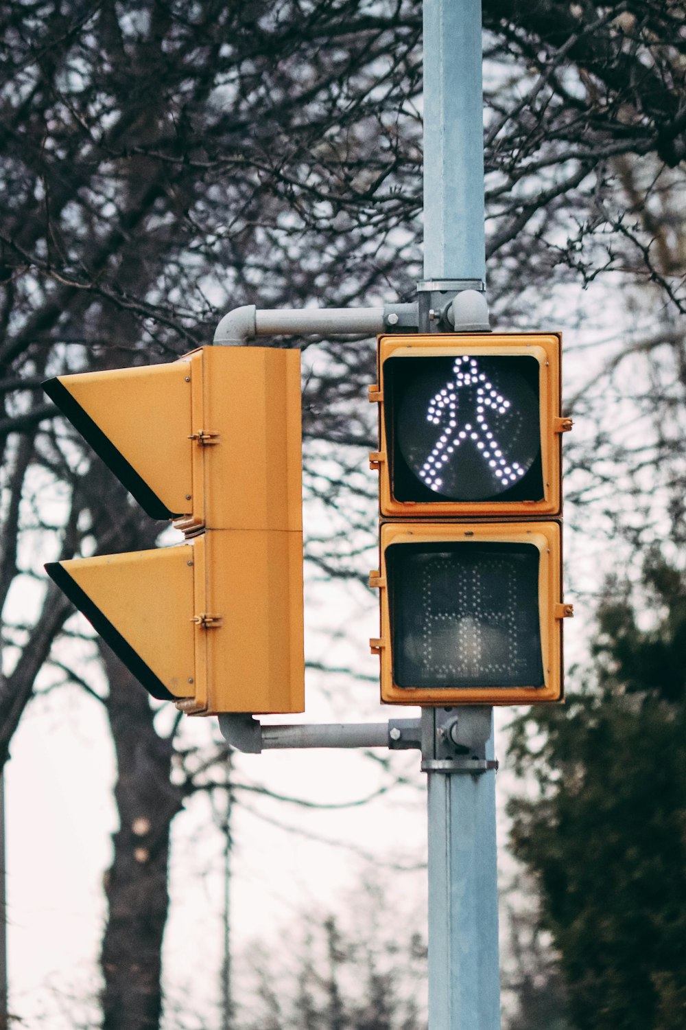 a traffic light with a pedestrian crossing signal on it