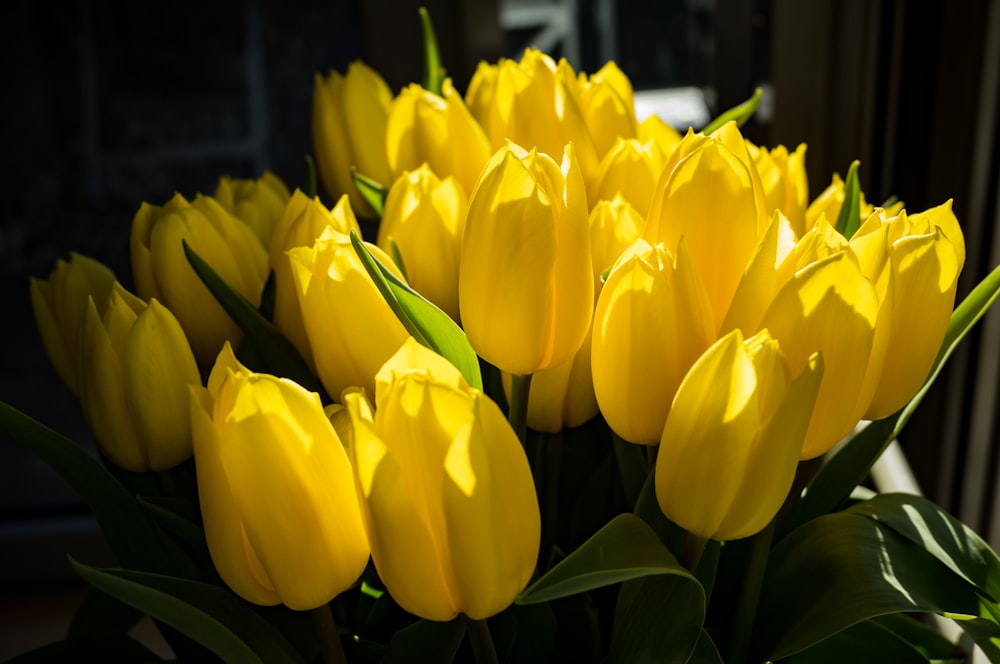 a bunch of yellow tulips in a vase