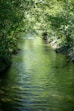 a river running through a lush green forest