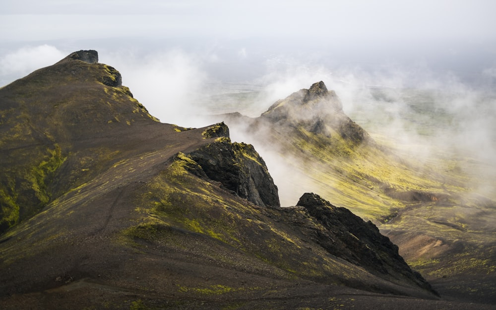 a group of mountains covered in green grass