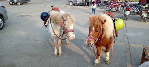 Two small ponies are standing in a parking area. Each pony is equipped with a saddle, a safety helmet attached to the back, and a bridle. The background features several parked motorcycles and a couple of cars. A few people are visible in the distance.