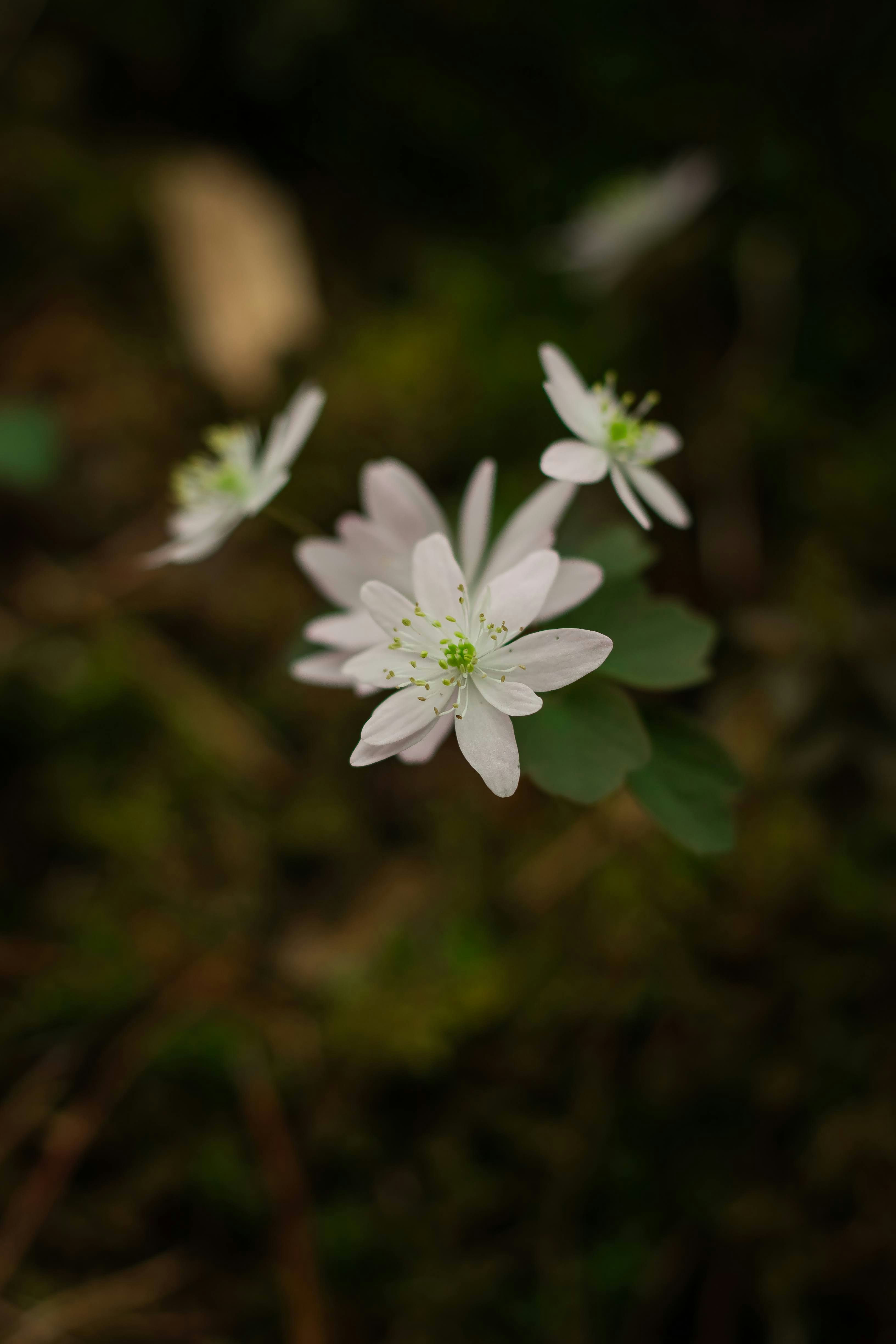 Photo by brice_cooper18