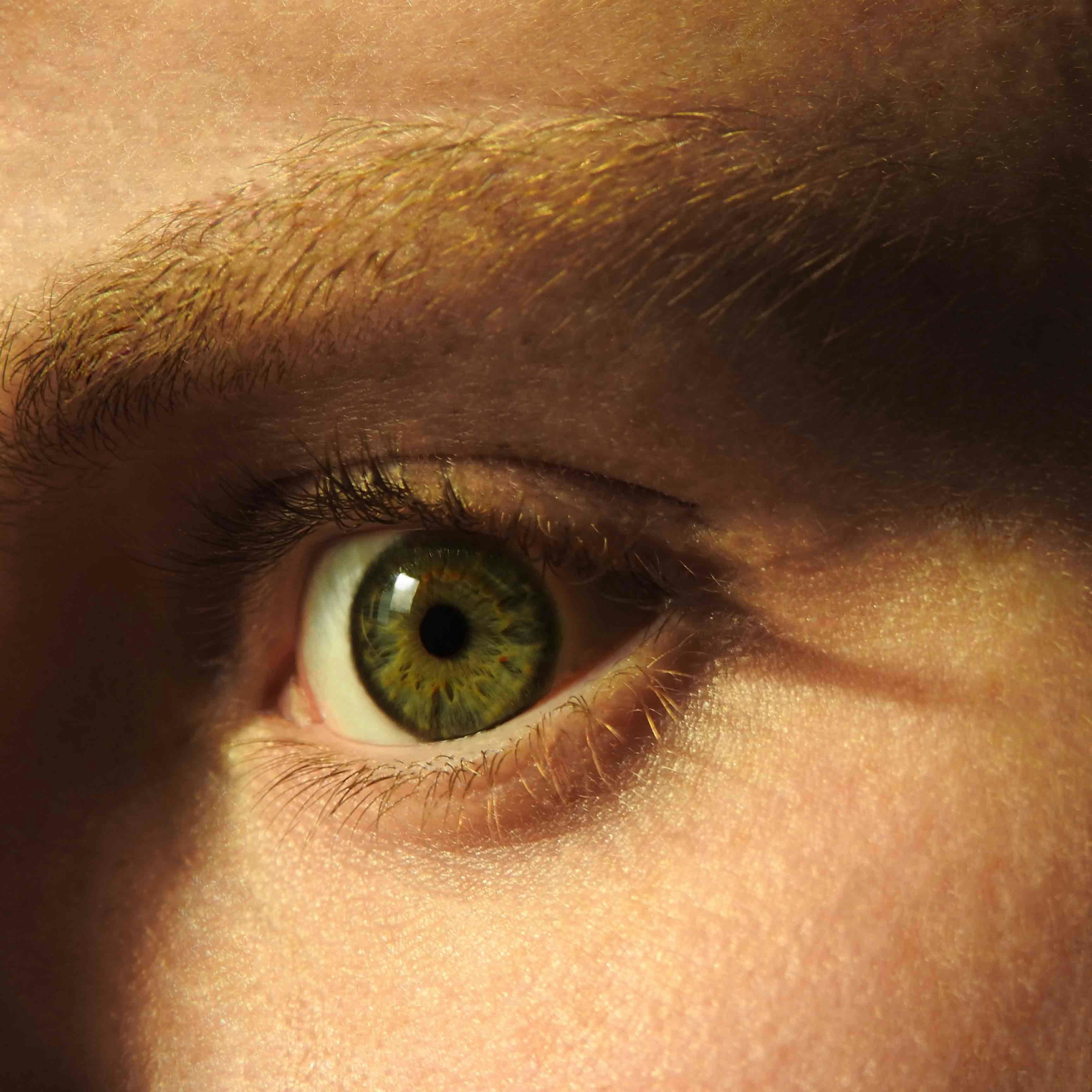 A close up of a person's green eye photo – Free Skin Image on Unsplash