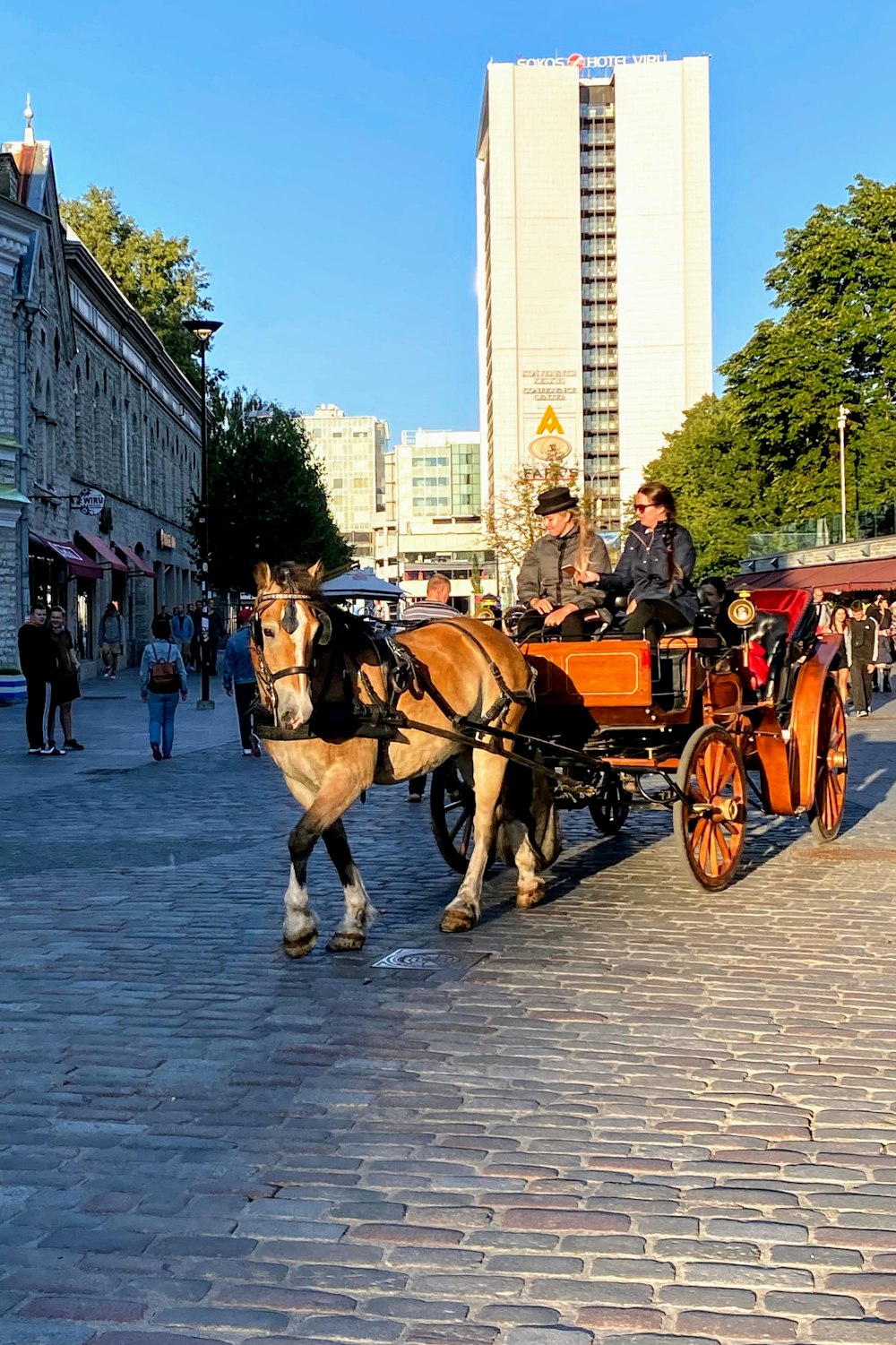 a horse drawn carriage on a city street