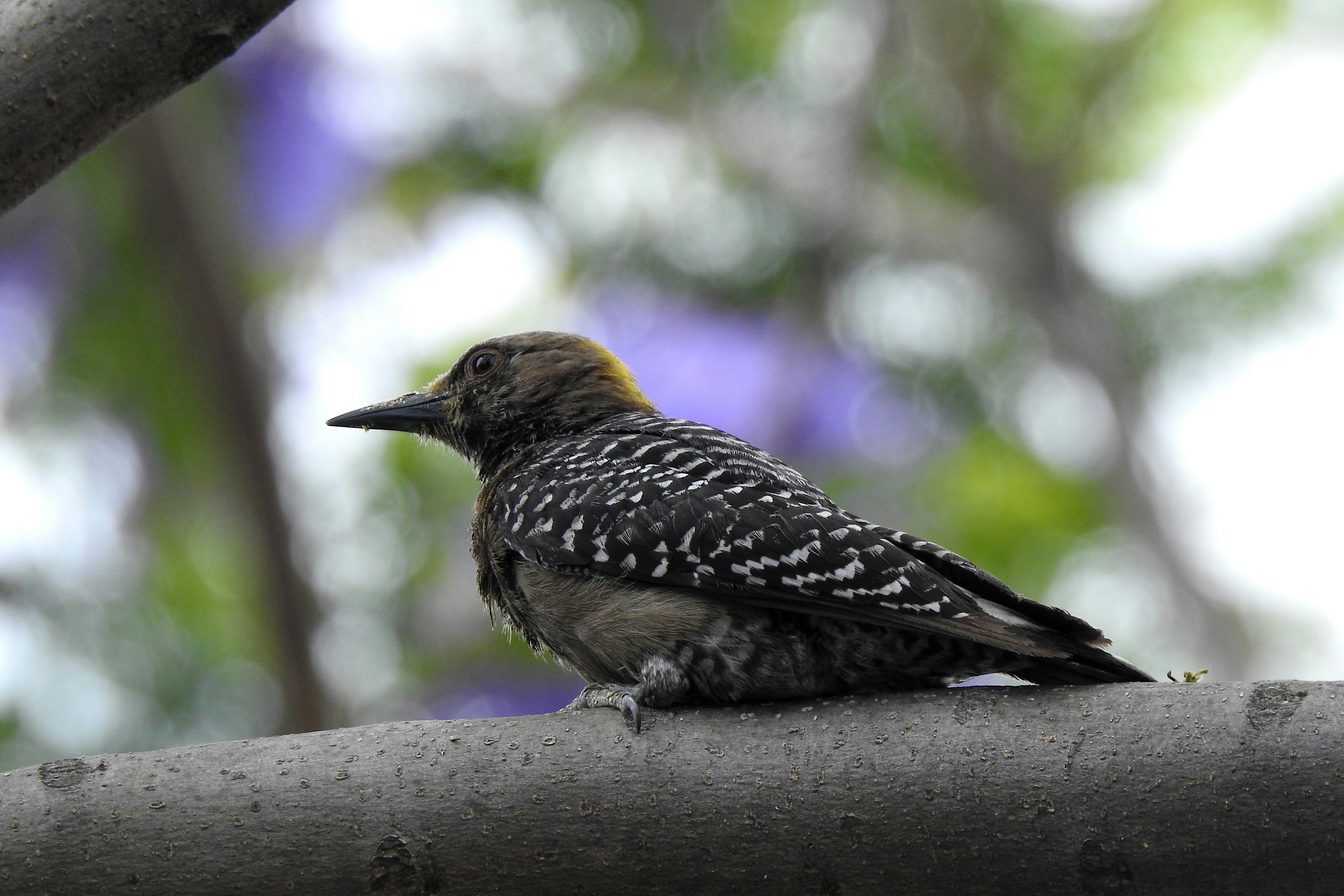 Photo by artemisdesign