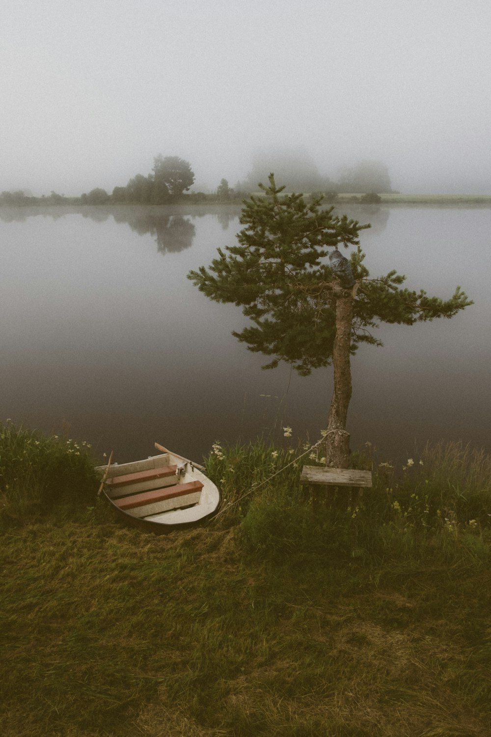 a boat sitting on the shore of a lake