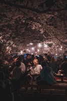 Families and friends sitting on colorful blankets under cherry trees, sharing food and laughter.