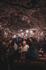 A vibrant crowd enjoying a live music performance under cherry blossom decorations at dusk.