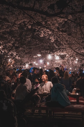 Families and friends sitting on colorful blankets under cherry trees, sharing food and laughter.
