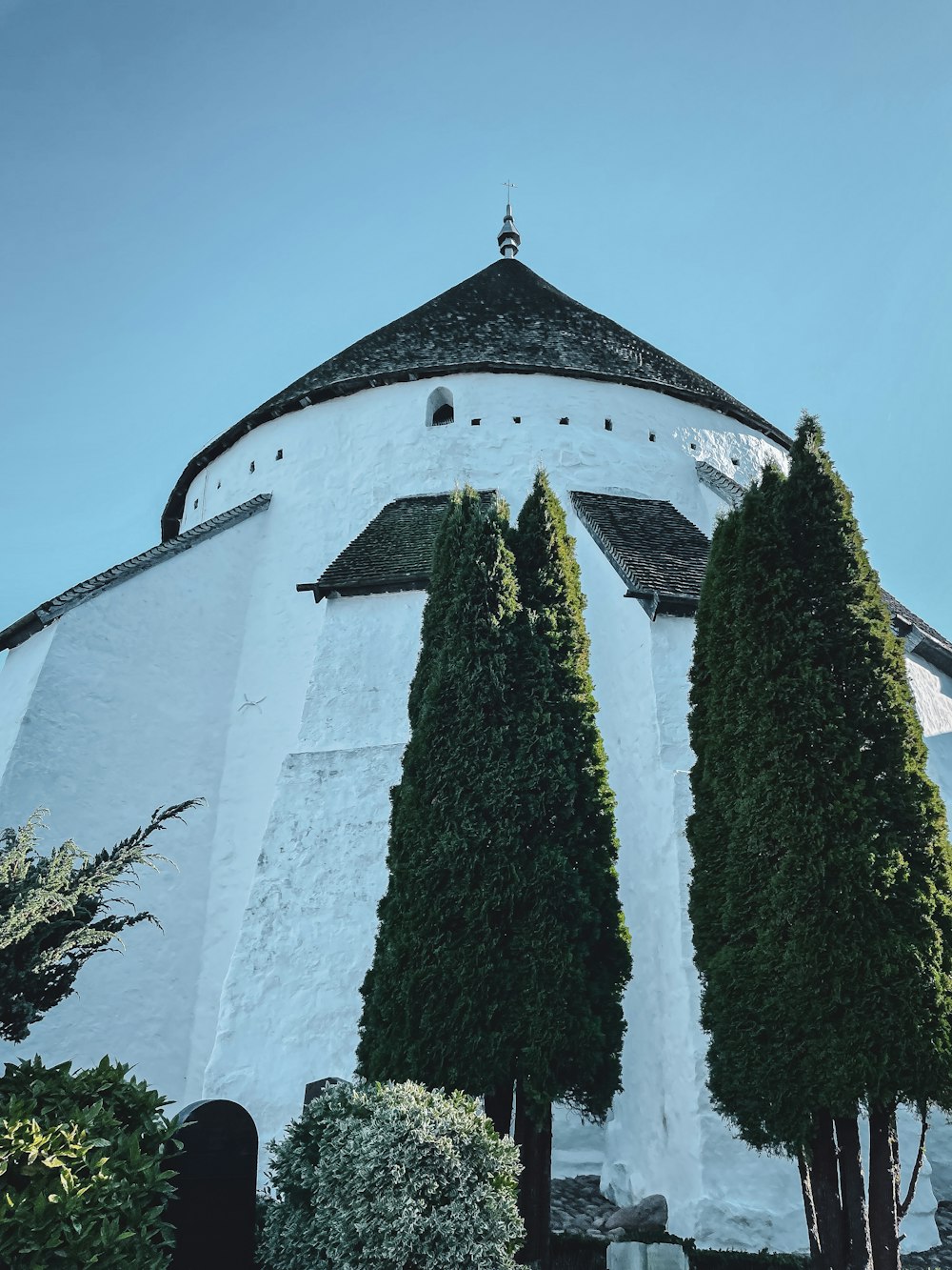 a white building with three trees in front of it