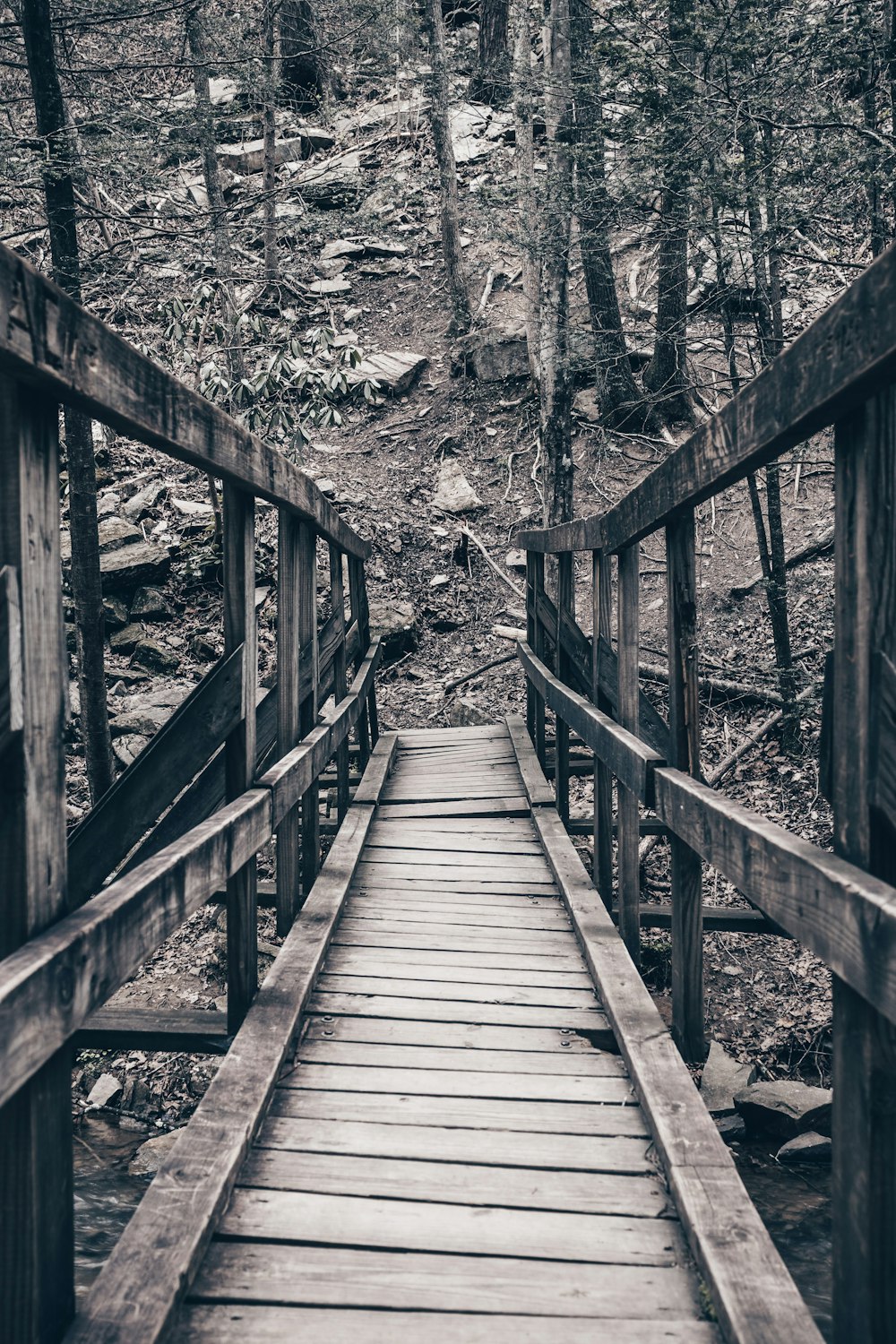 a wooden bridge in the middle of a forest