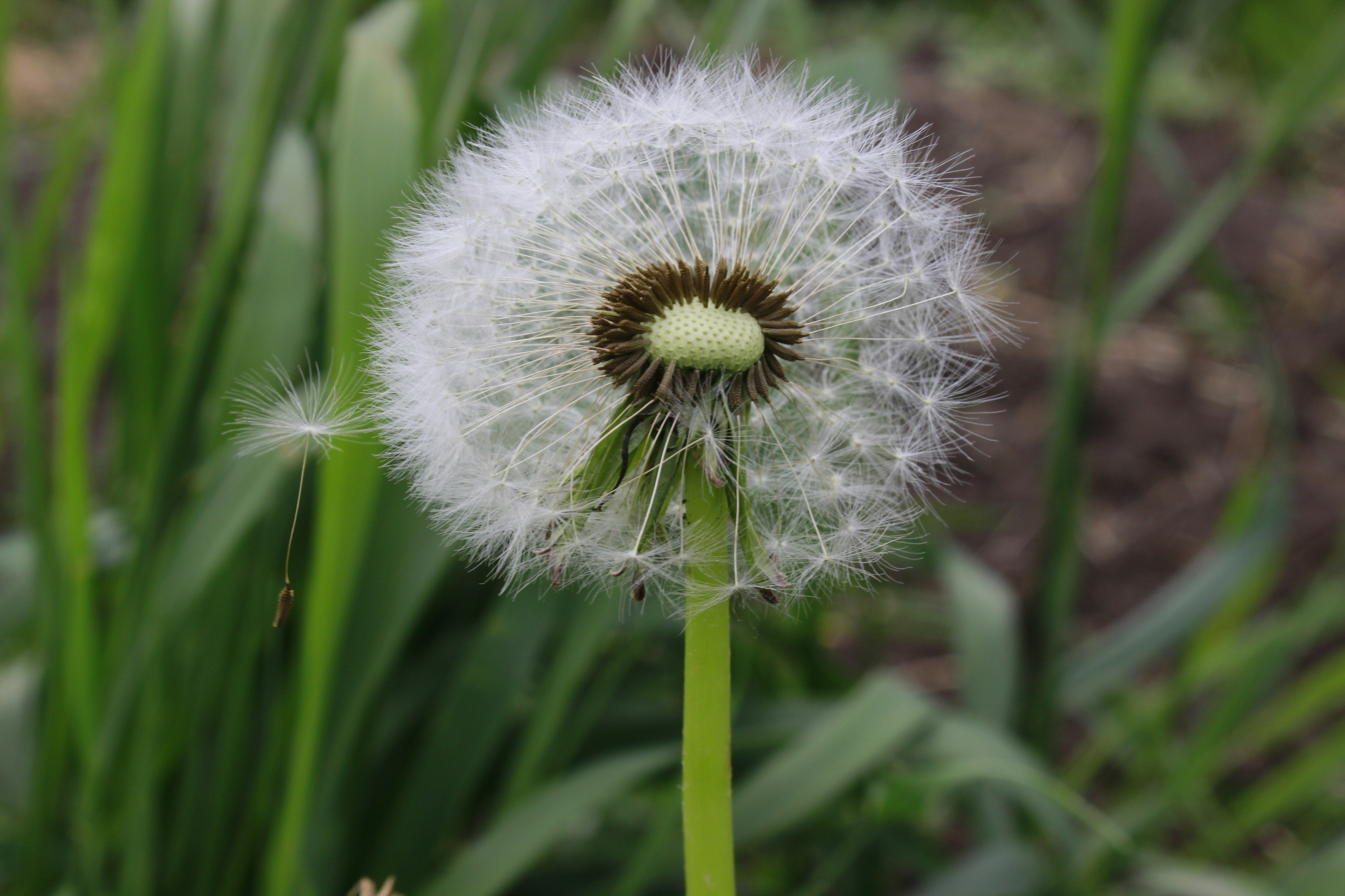 Photo by kateryna_shevchenko