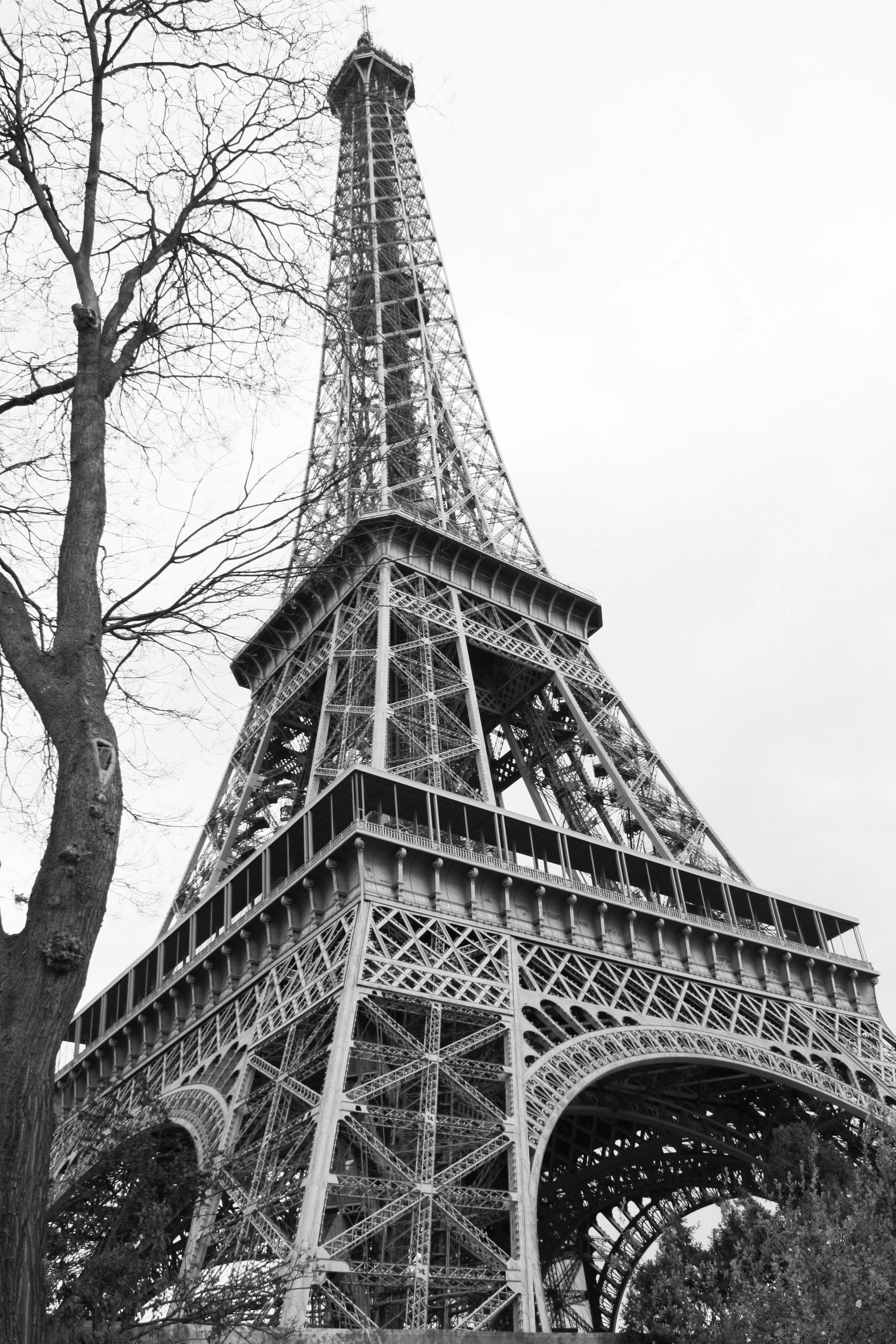 Photo by ezgiustekidag