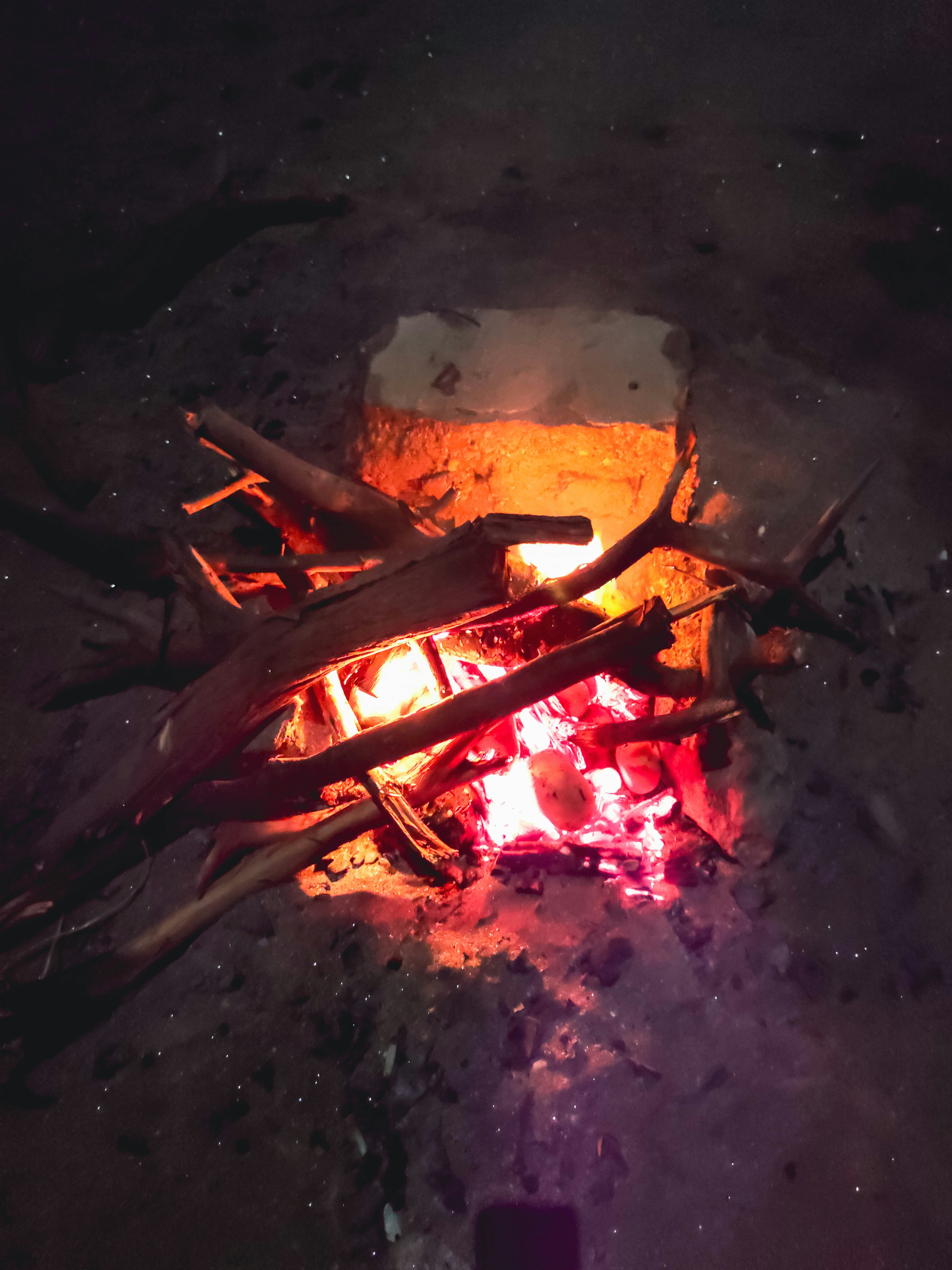 Photo by amirdeljouyi