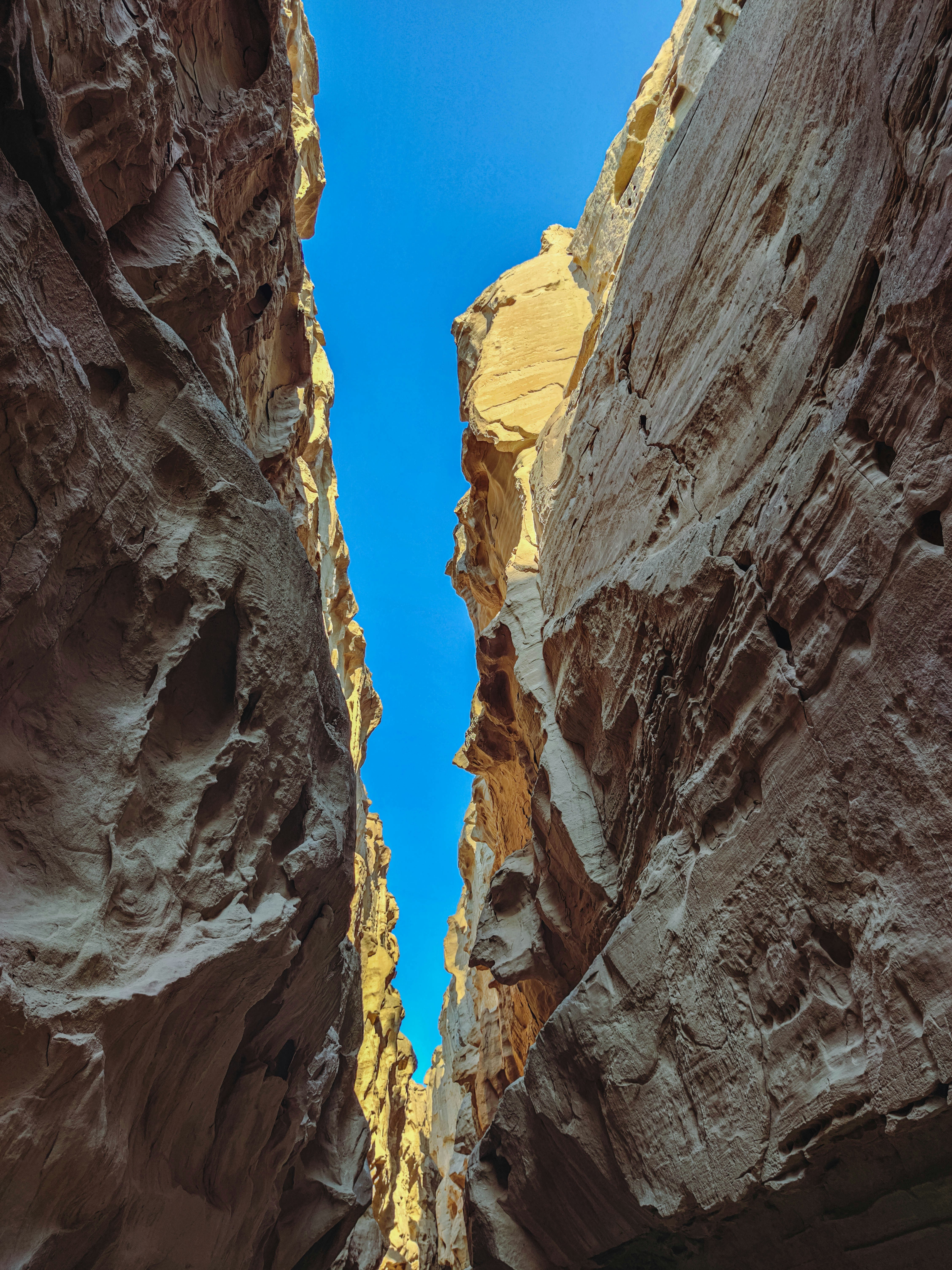 Photo by amirdeljouyi