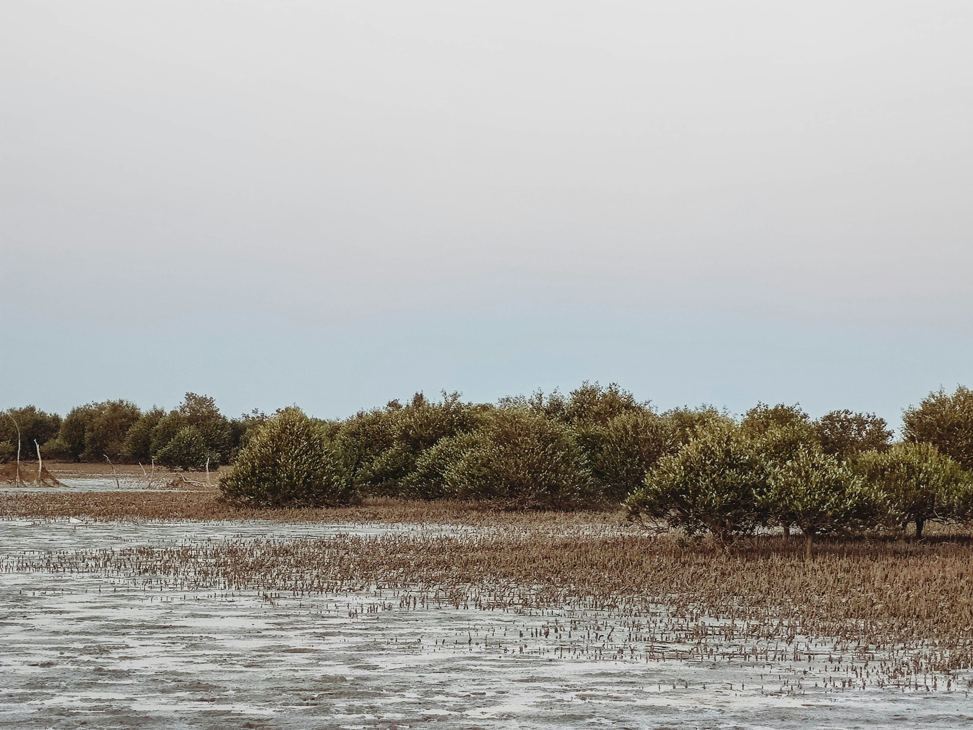 Photo by amirdeljouyi