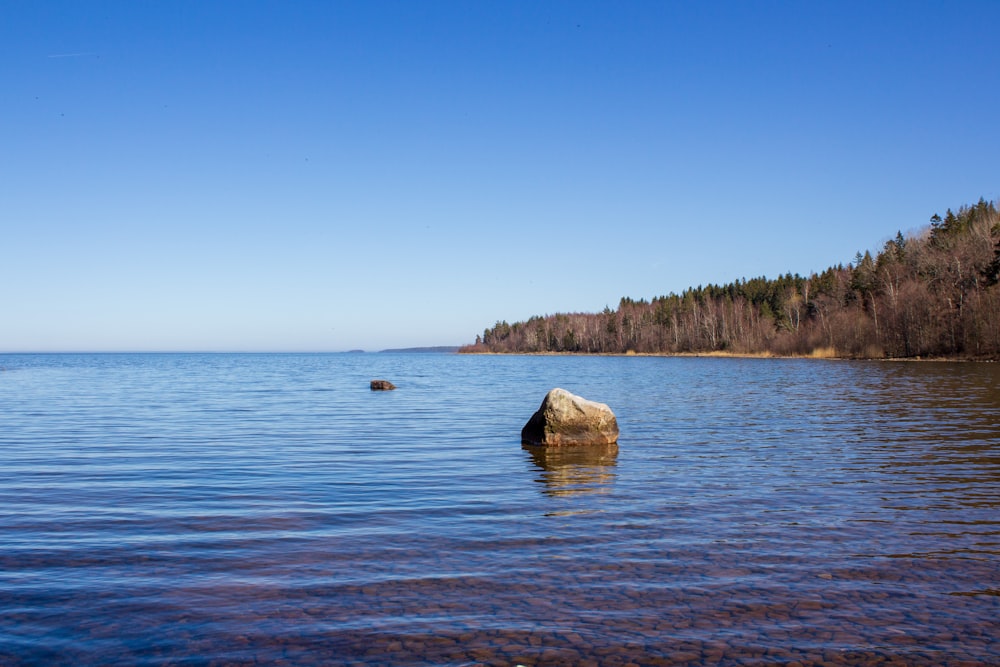 a large rock sitting in the middle of a lake