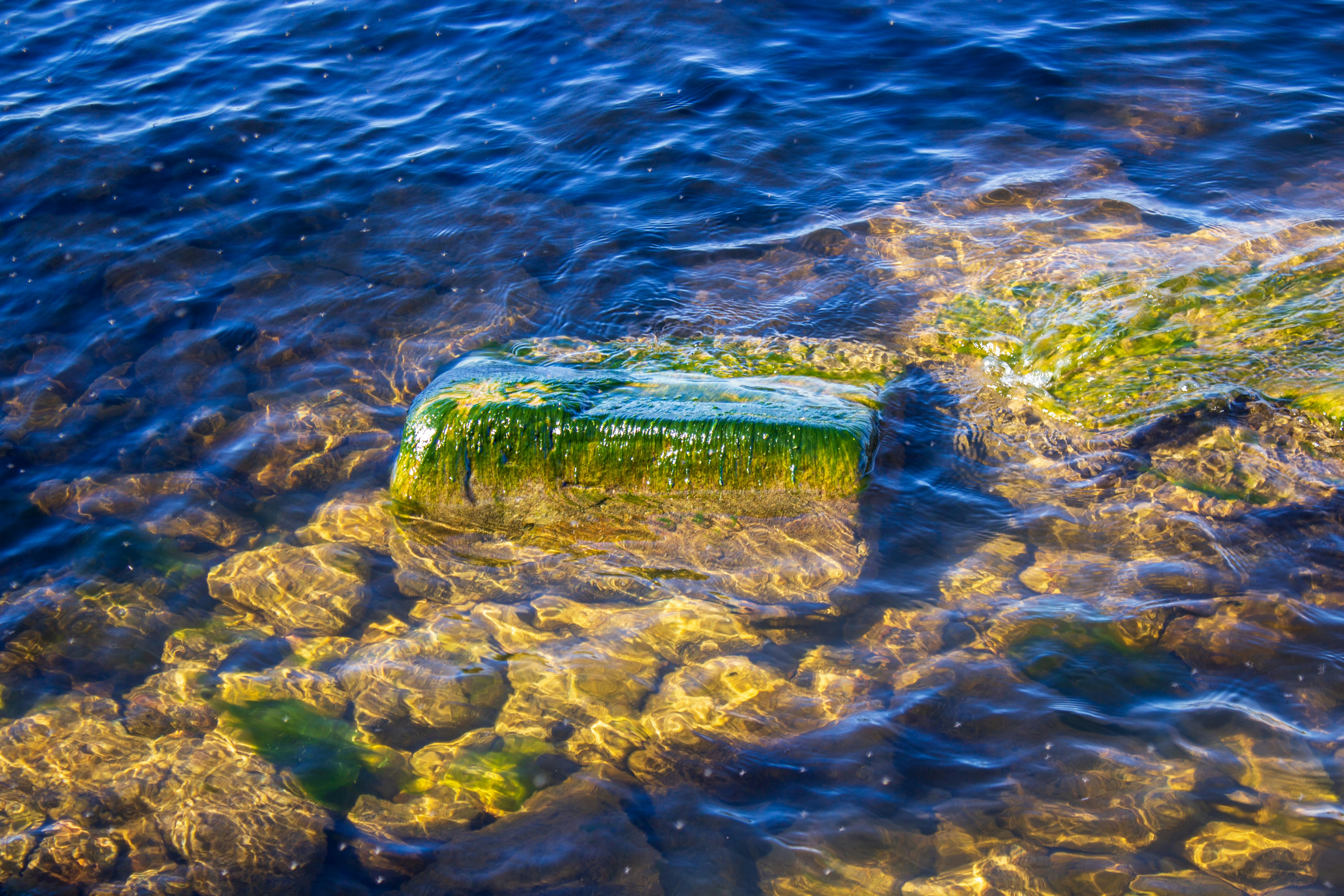 a rock in the middle of a body of water