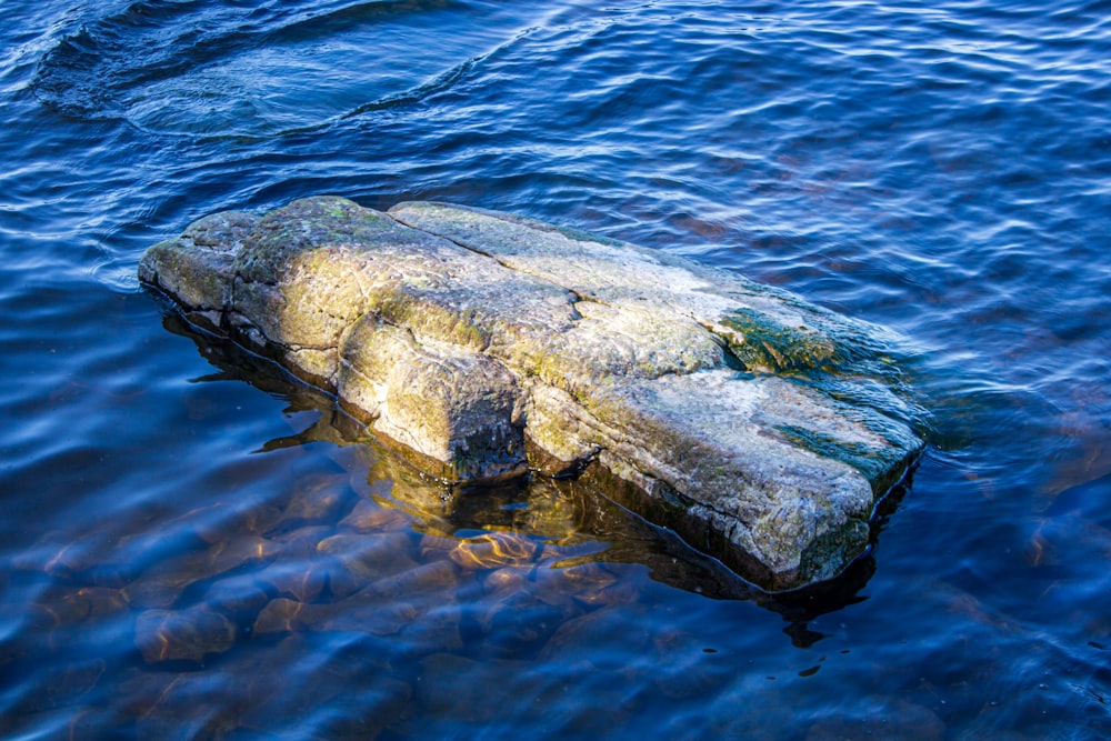 a rock in the middle of a body of water