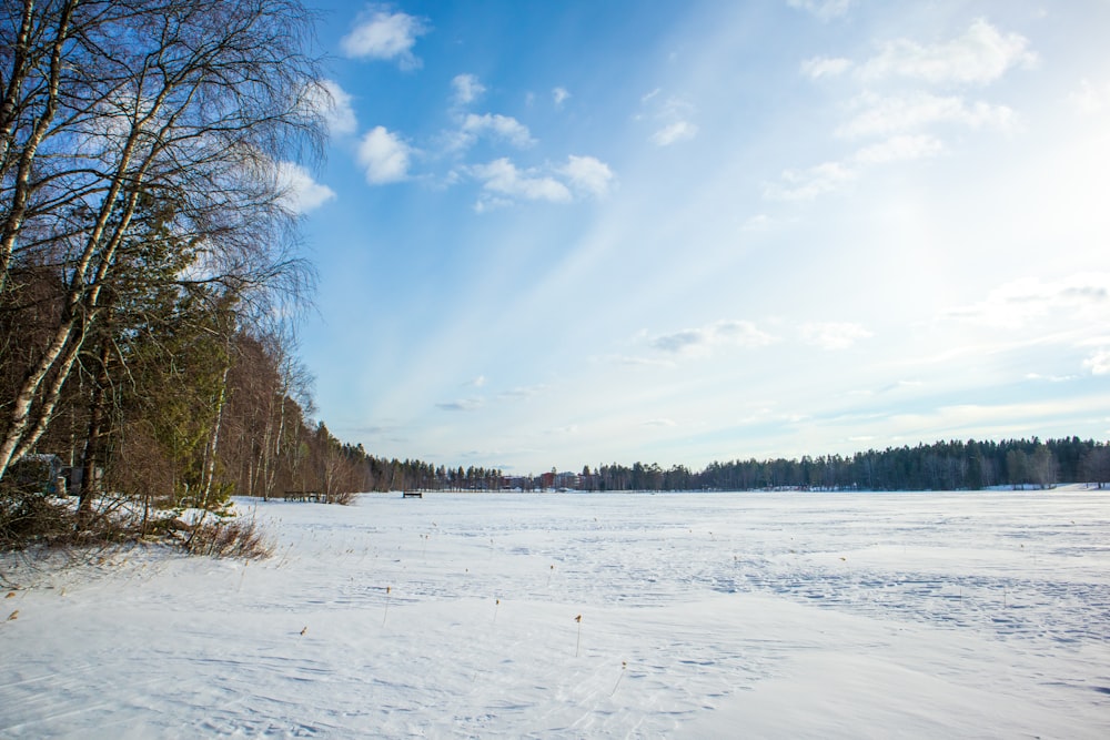 a snow covered field with trees in the background