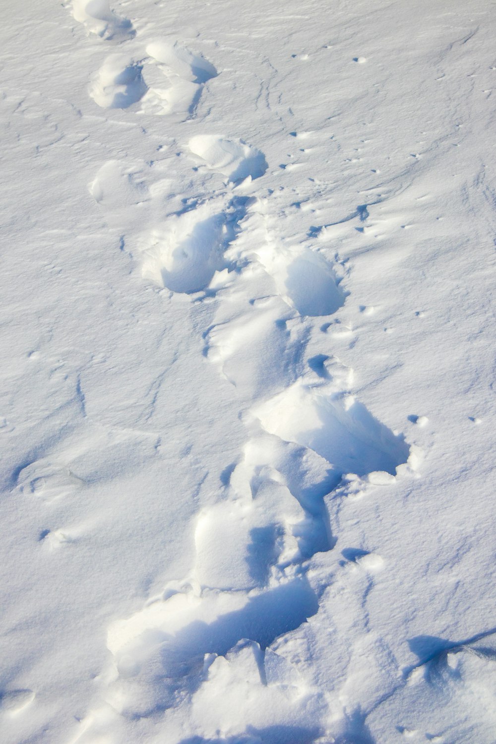 a person walking in the snow with skis