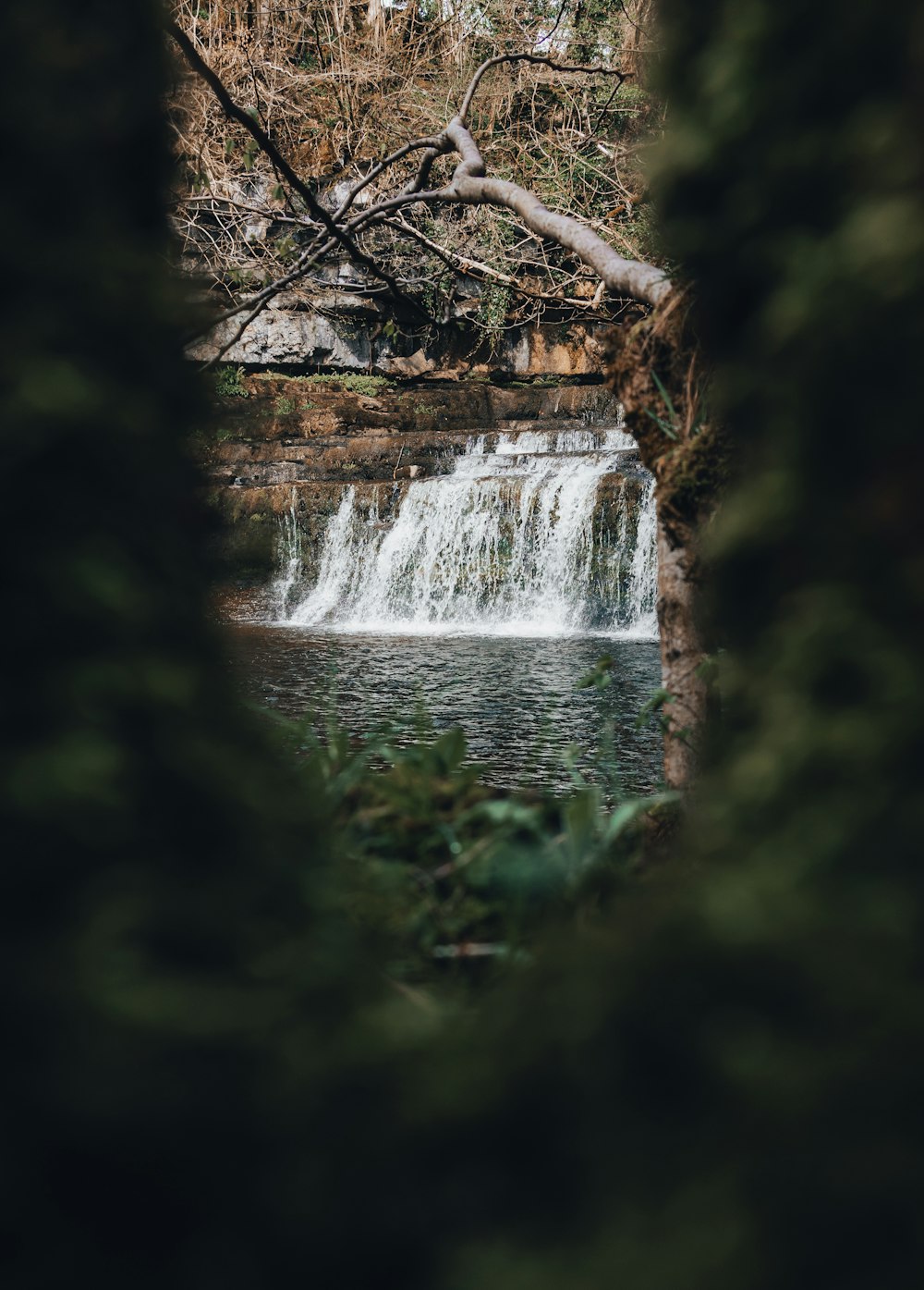 a view of a waterfall through a hole in a tree