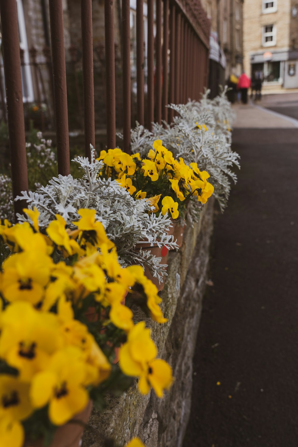 a row of yellow flowers sitting on the side of a road