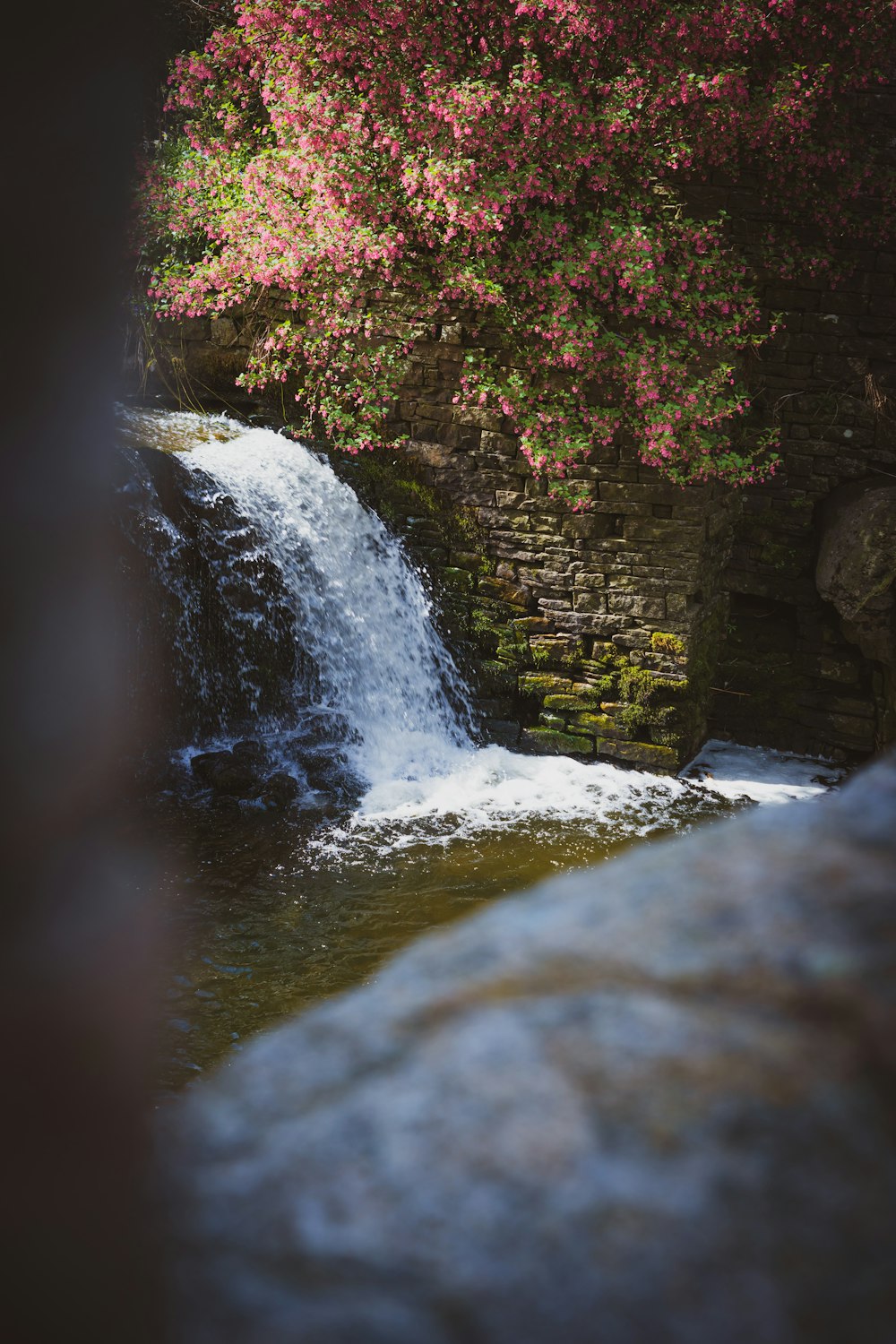 une petite cascade avec des fleurs roses en arrière-plan