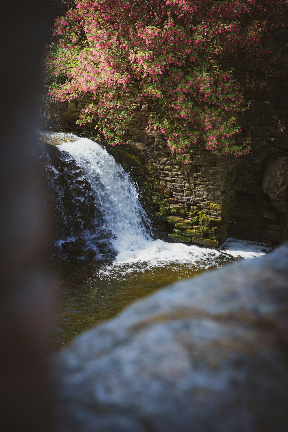 a small waterfall with pink flowers in the background